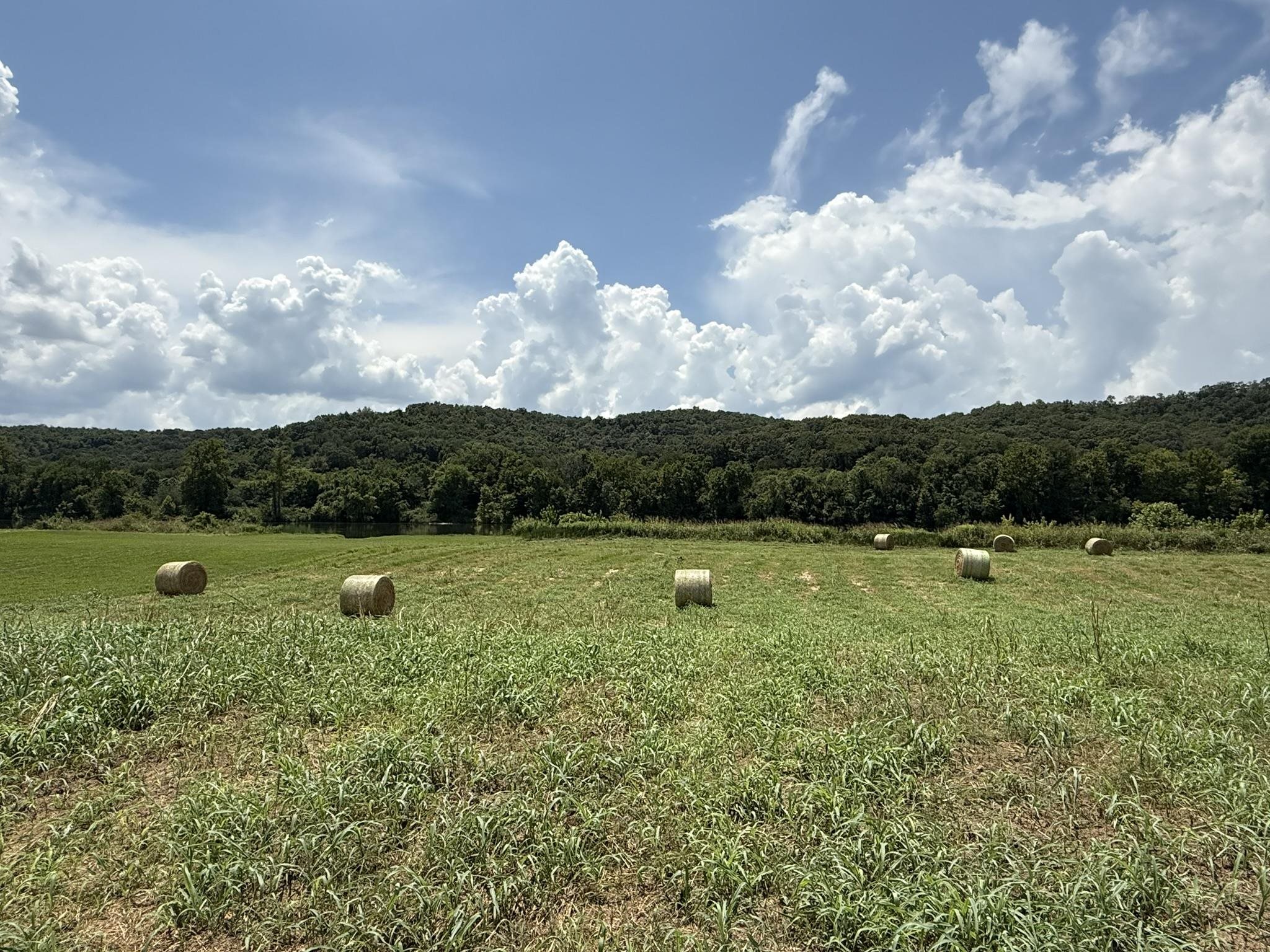 Photo 7 - Vacant Land for sale – 44  White River Run   Guion, AR