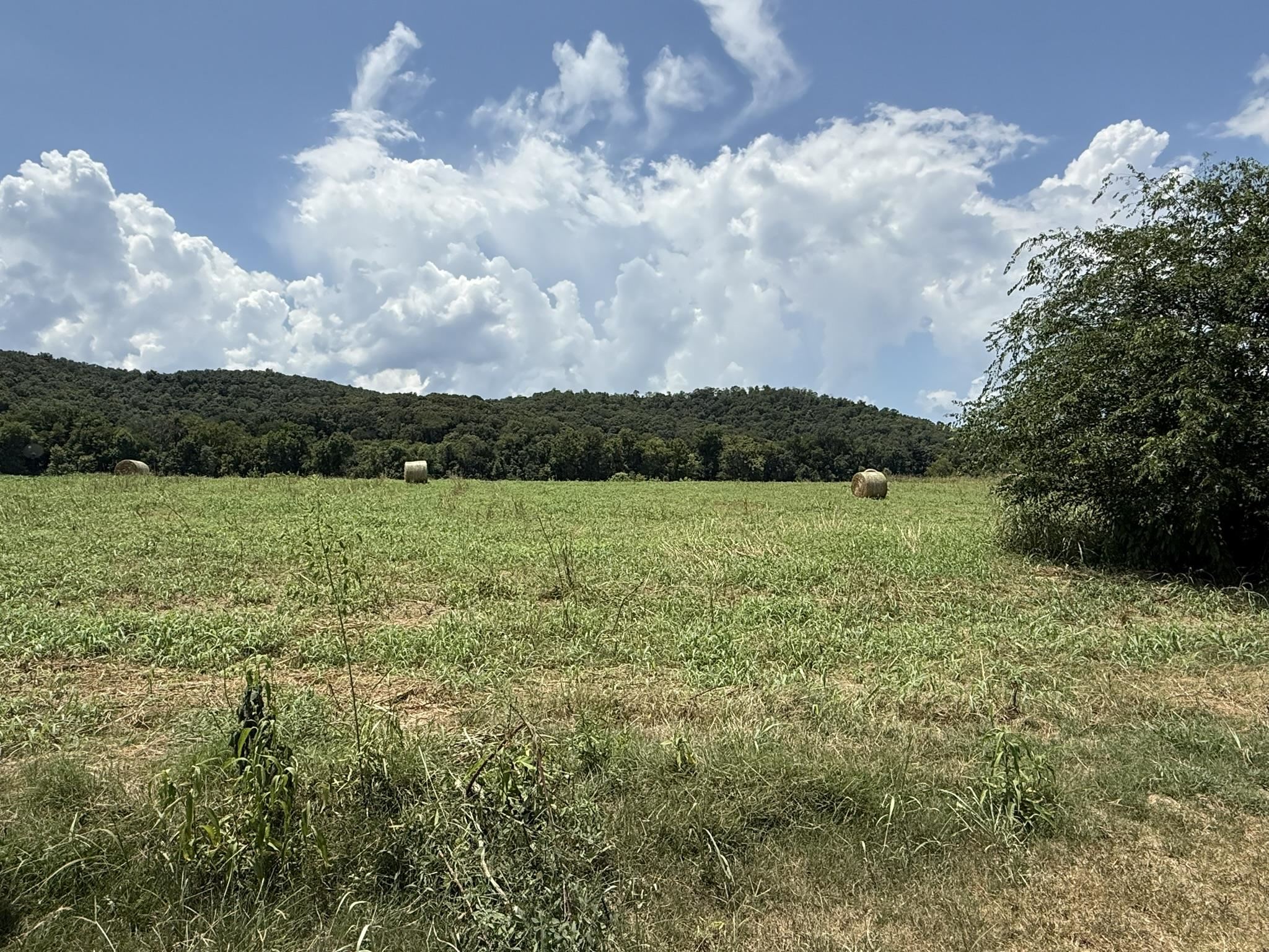 Photo 8 - Vacant Land for sale – 44  White River Run   Guion, AR