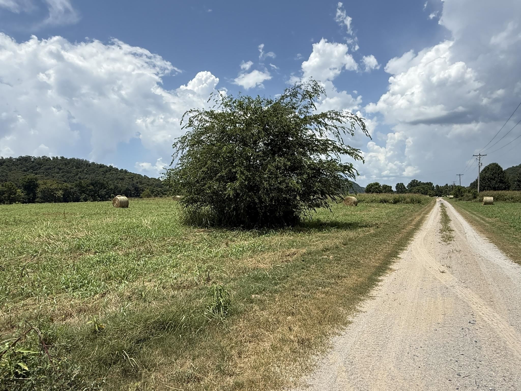 Photo 9 - Vacant Land for sale – 44  White River Run   Guion, AR