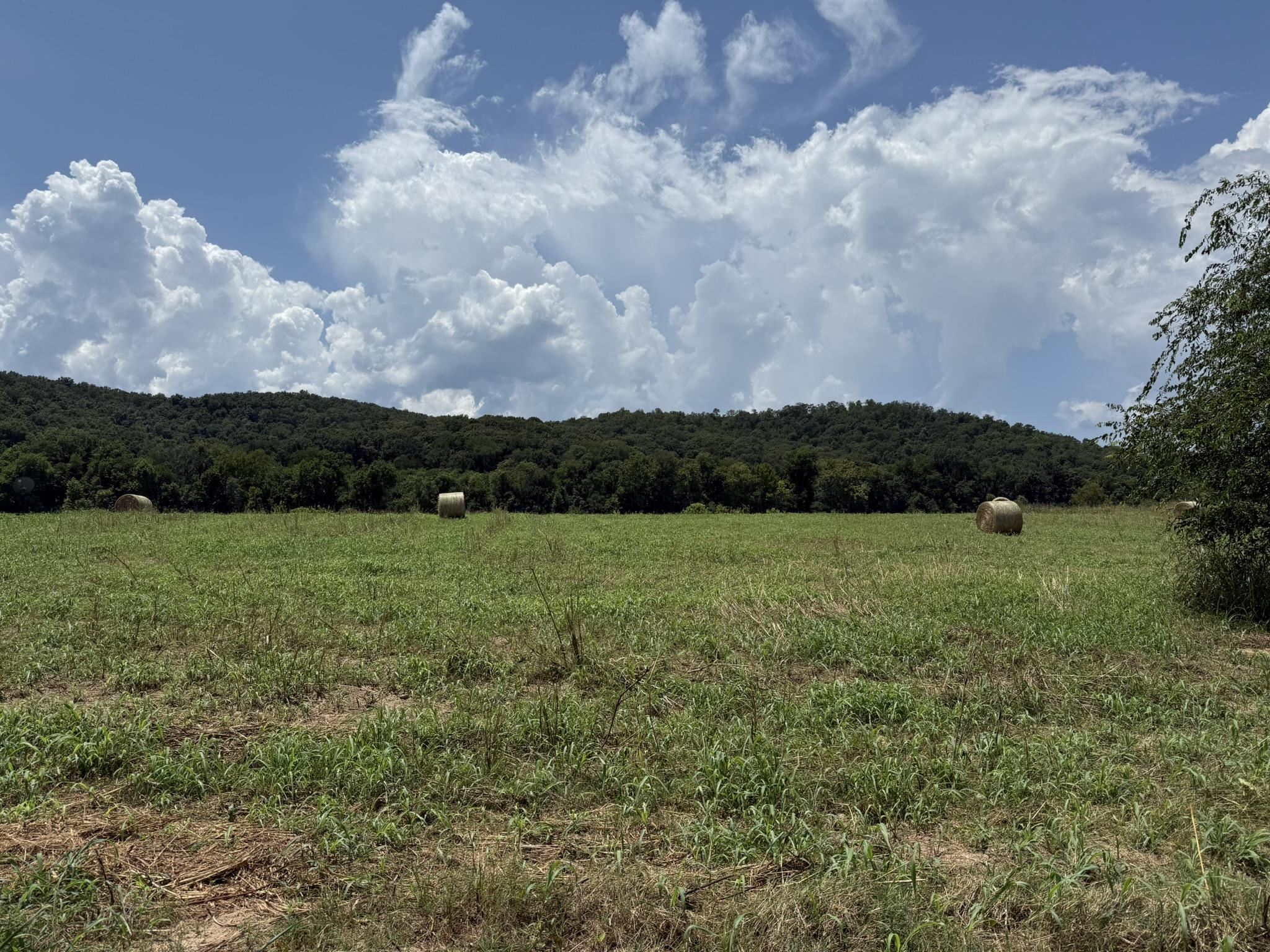 Photo 10 - Vacant Land for sale – 44  White River Run   Guion, AR