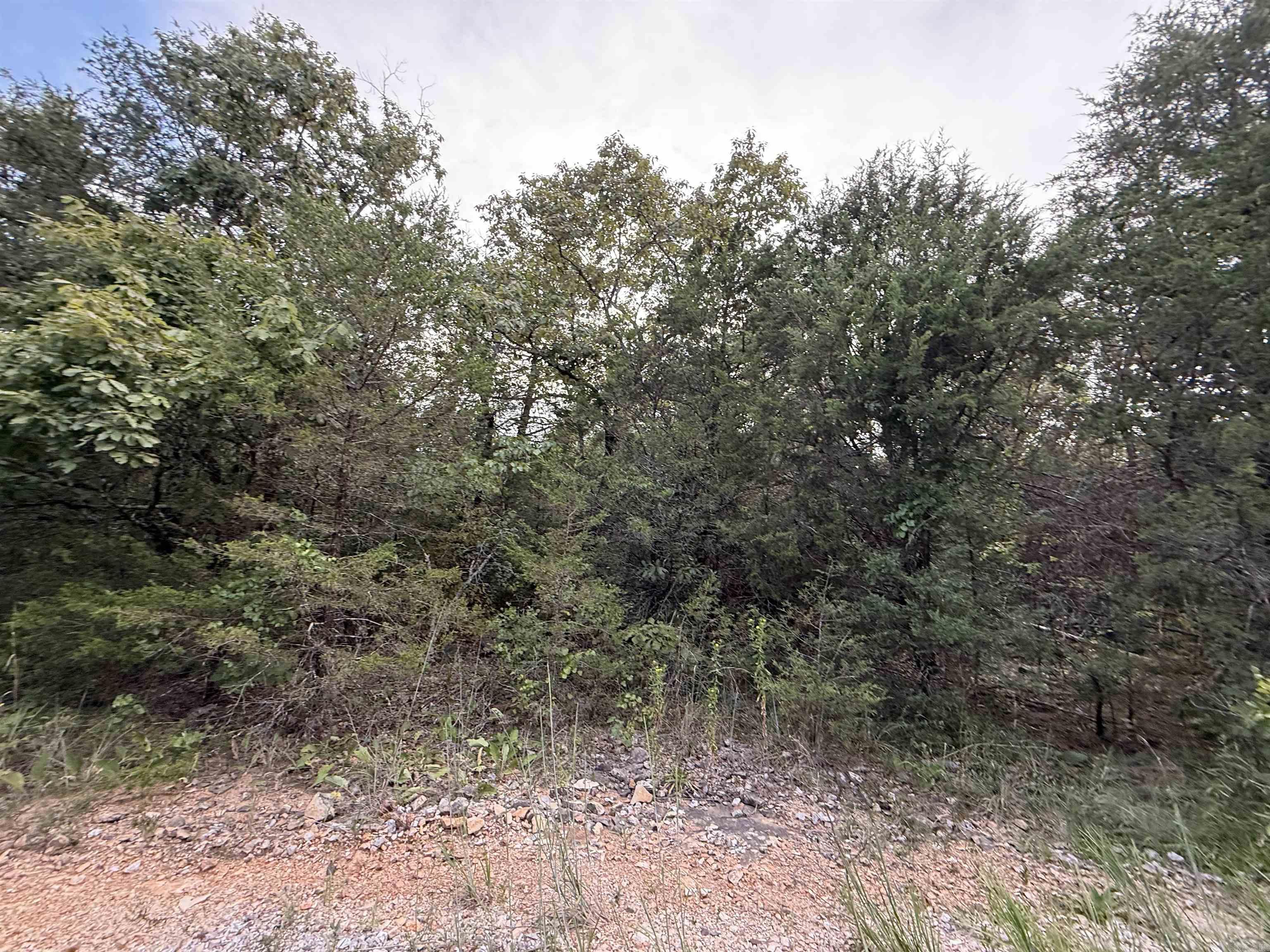 Vacant Land for sale – 0  Big Buck Lane   Williford, AR
