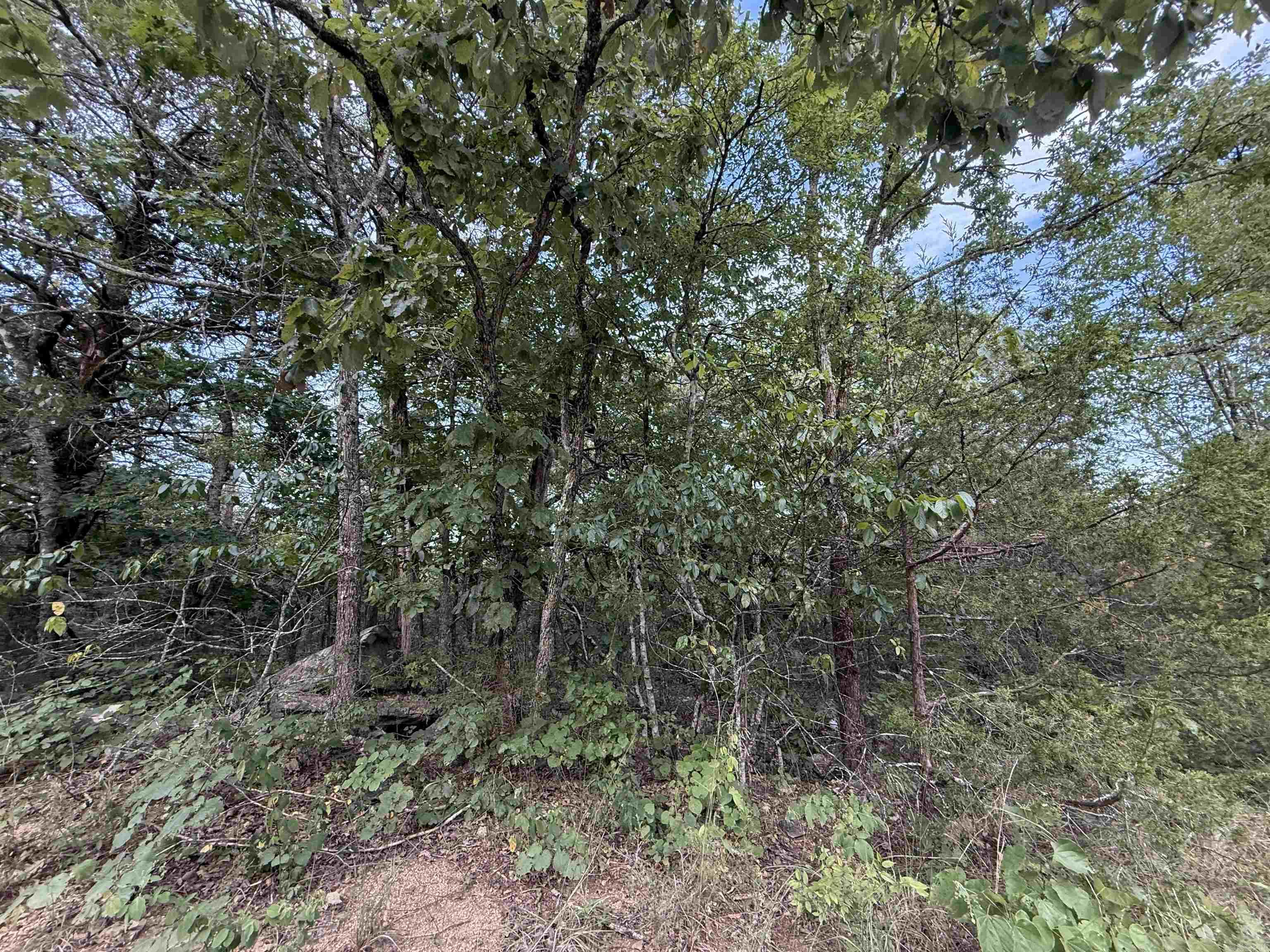 Photo 2 - Vacant Land for sale – 0  Big Buck Lane   Williford, AR