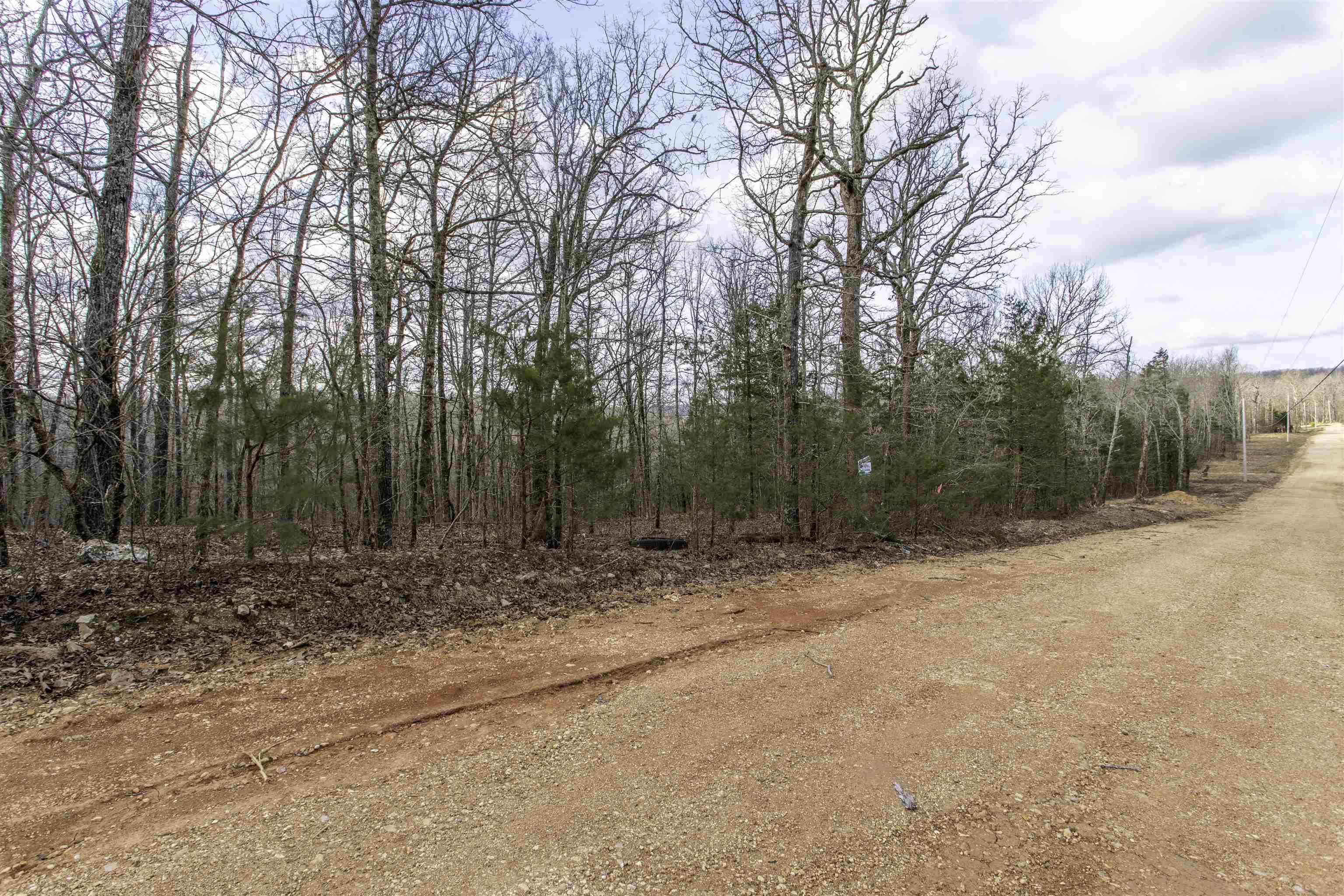 Photo 2 - Vacant Land for sale – Lot 4  Oak Ridge   Hardy, AR