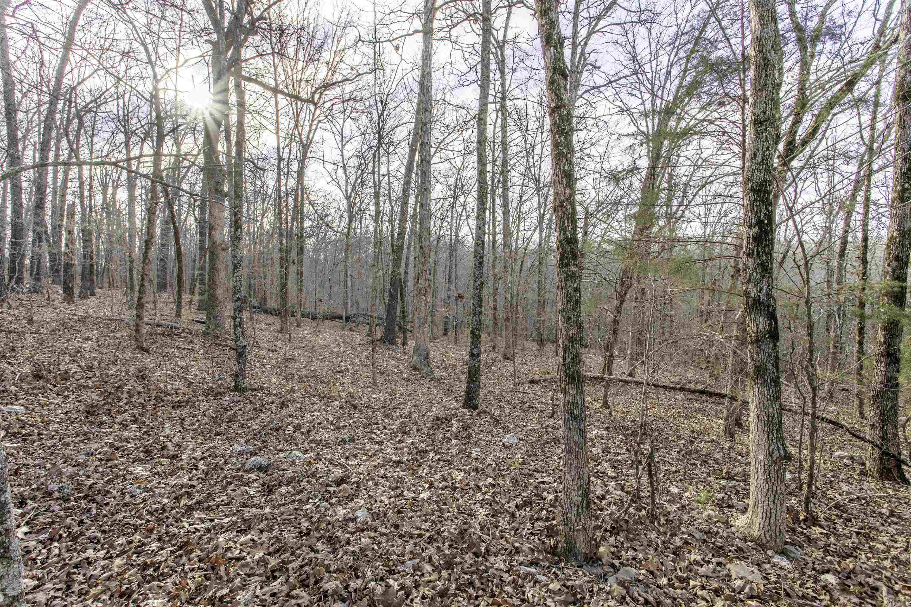 Photo 5 - Vacant Land for sale – Lot 4  Oak Ridge   Hardy, AR
