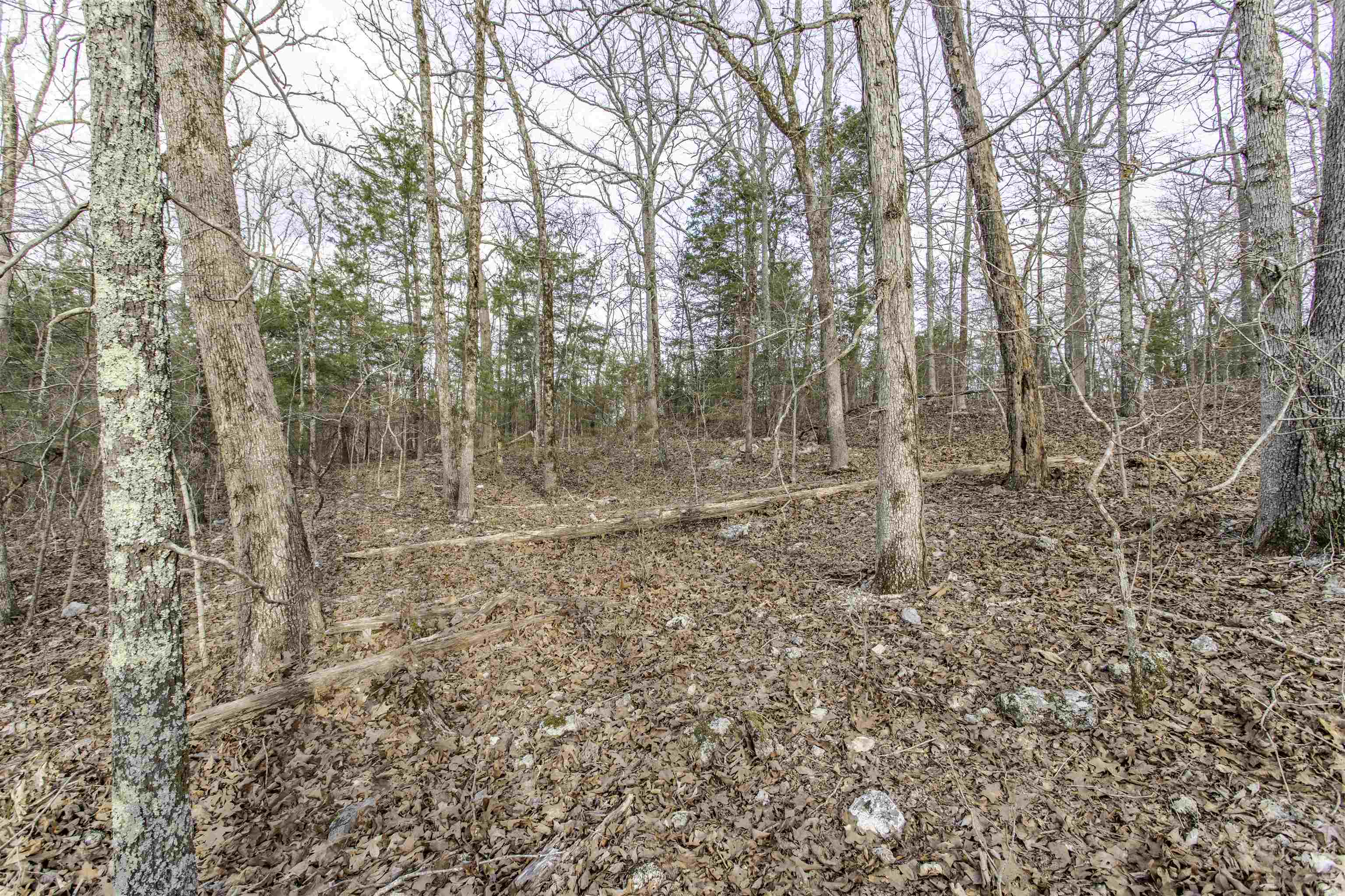 Photo 8 - Vacant Land for sale – Lot 4  Oak Ridge   Hardy, AR