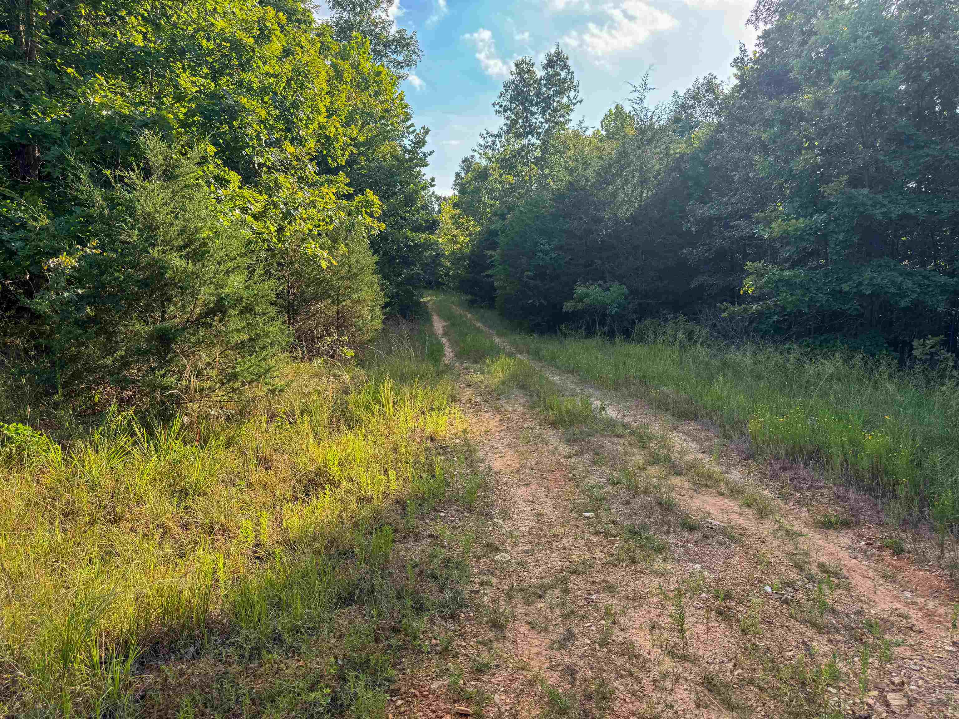 Photo 13 - Vacant Land for sale – 000  Duncan Ln   Poughkeepsie, AR