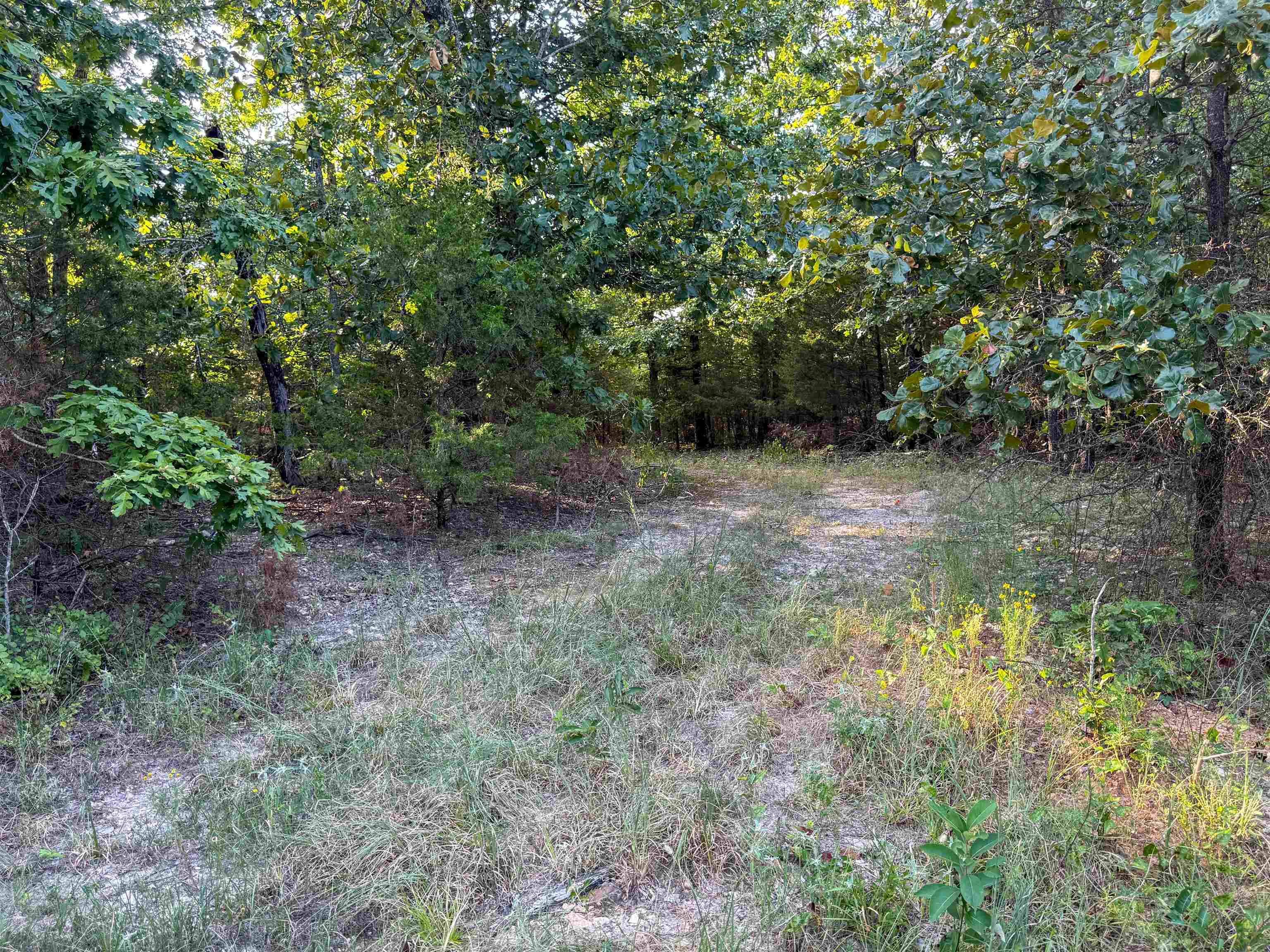 Photo 17 - Vacant Land for sale – 000  Duncan Ln   Poughkeepsie, AR