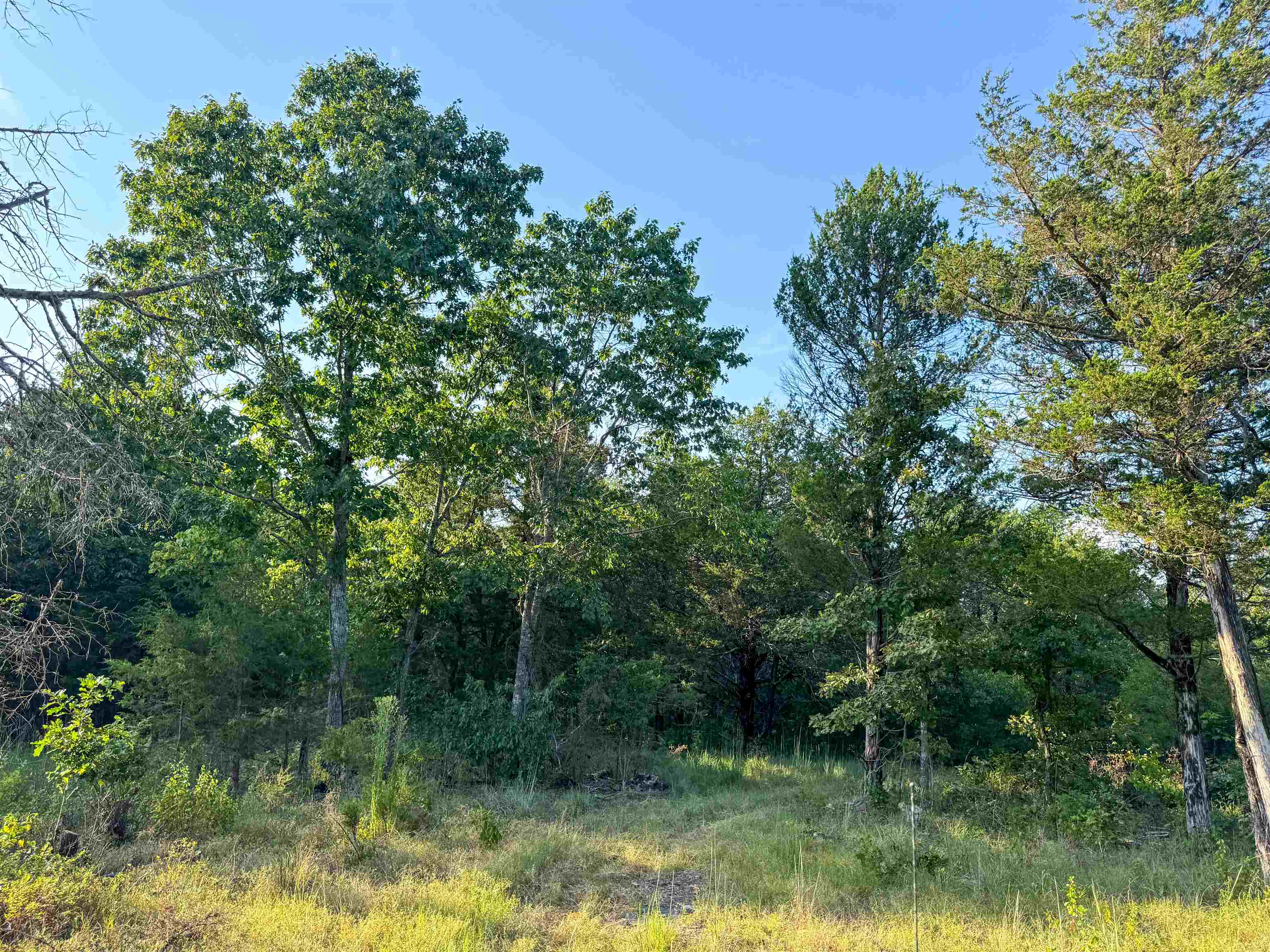 Photo 18 - Vacant Land for sale – 000  Duncan Ln   Poughkeepsie, AR