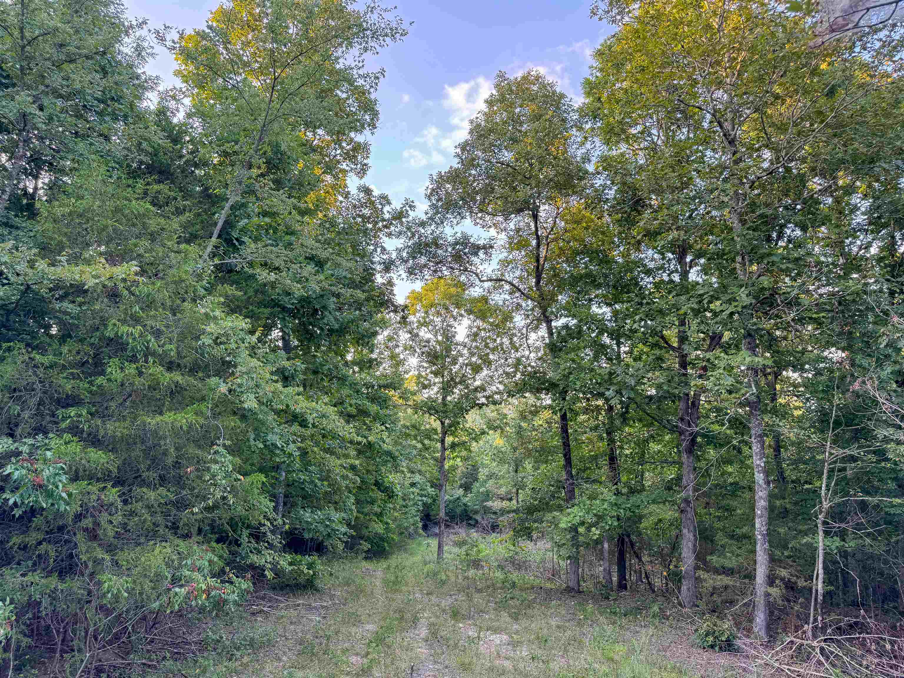 Photo 19 - Vacant Land for sale – 000  Duncan Ln   Poughkeepsie, AR