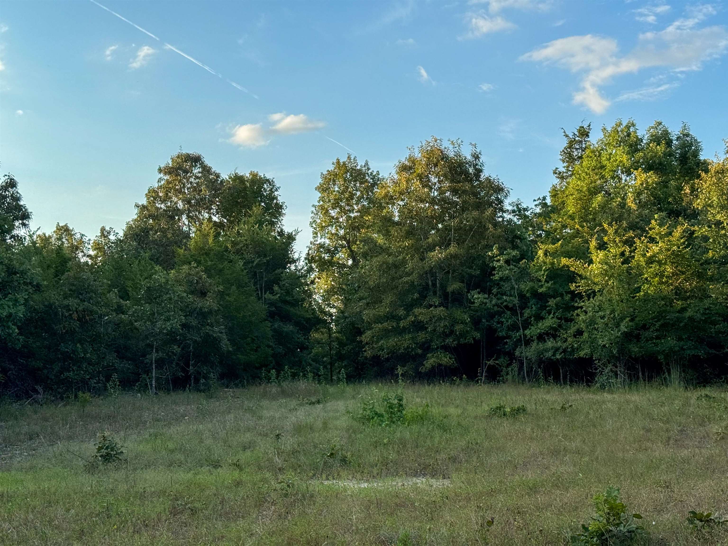 Photo 22 - Vacant Land for sale – 000  Duncan Ln   Poughkeepsie, AR