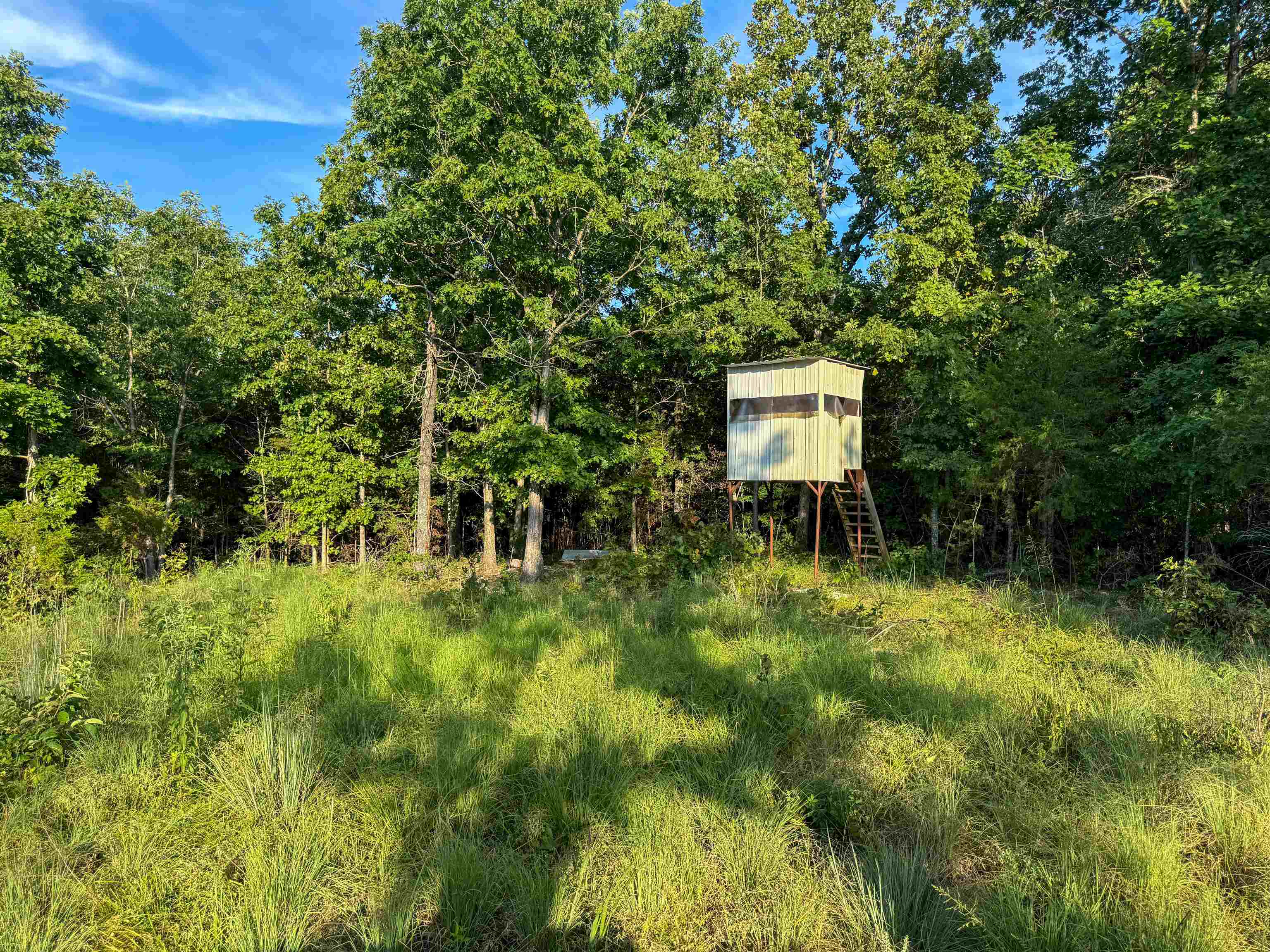 Photo 4 - Vacant Land for sale – 000  Duncan Ln   Poughkeepsie, AR