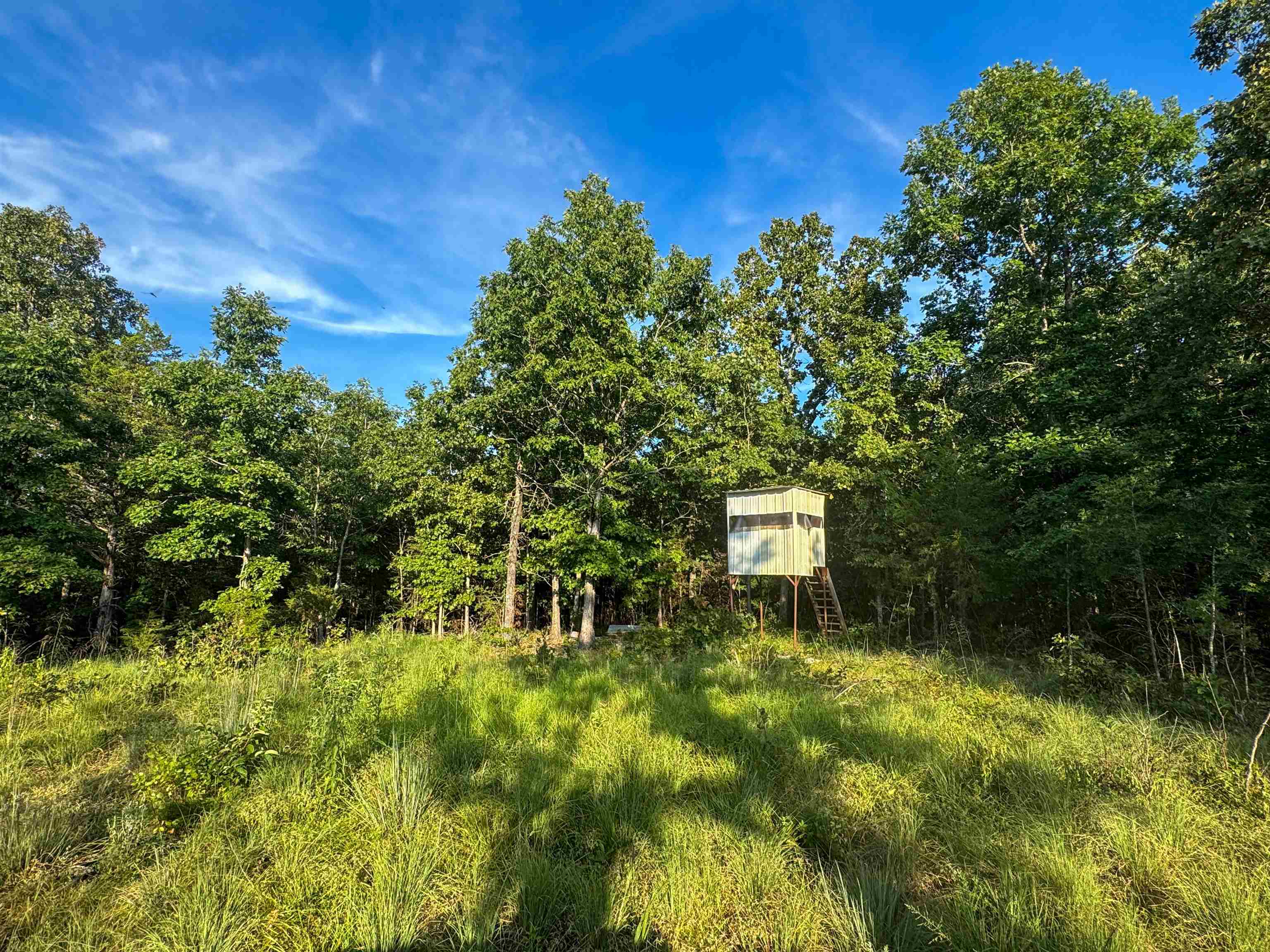 Photo 5 - Vacant Land for sale – 000  Duncan Ln   Poughkeepsie, AR