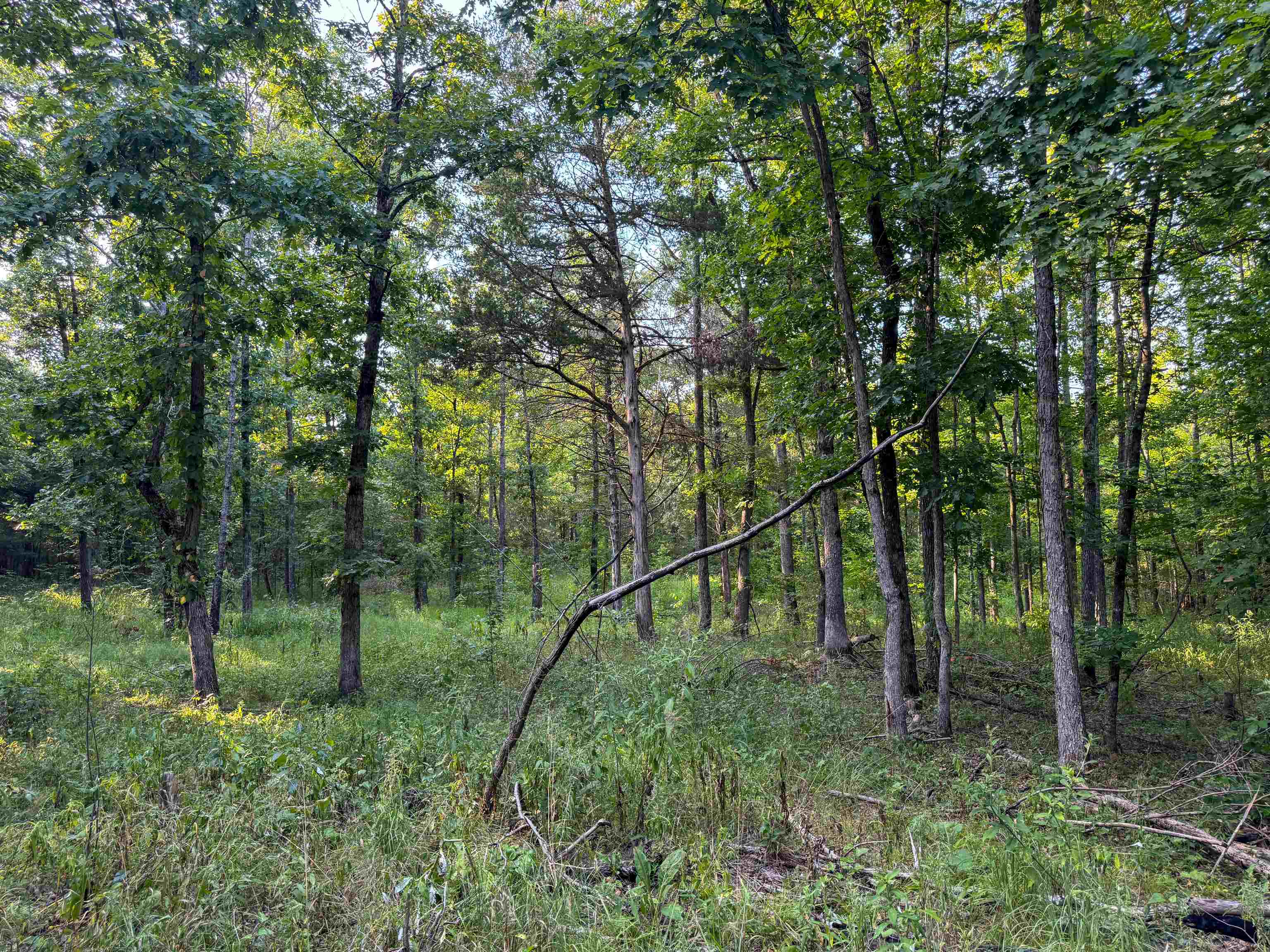 Photo 6 - Vacant Land for sale – 000  Duncan Ln   Poughkeepsie, AR