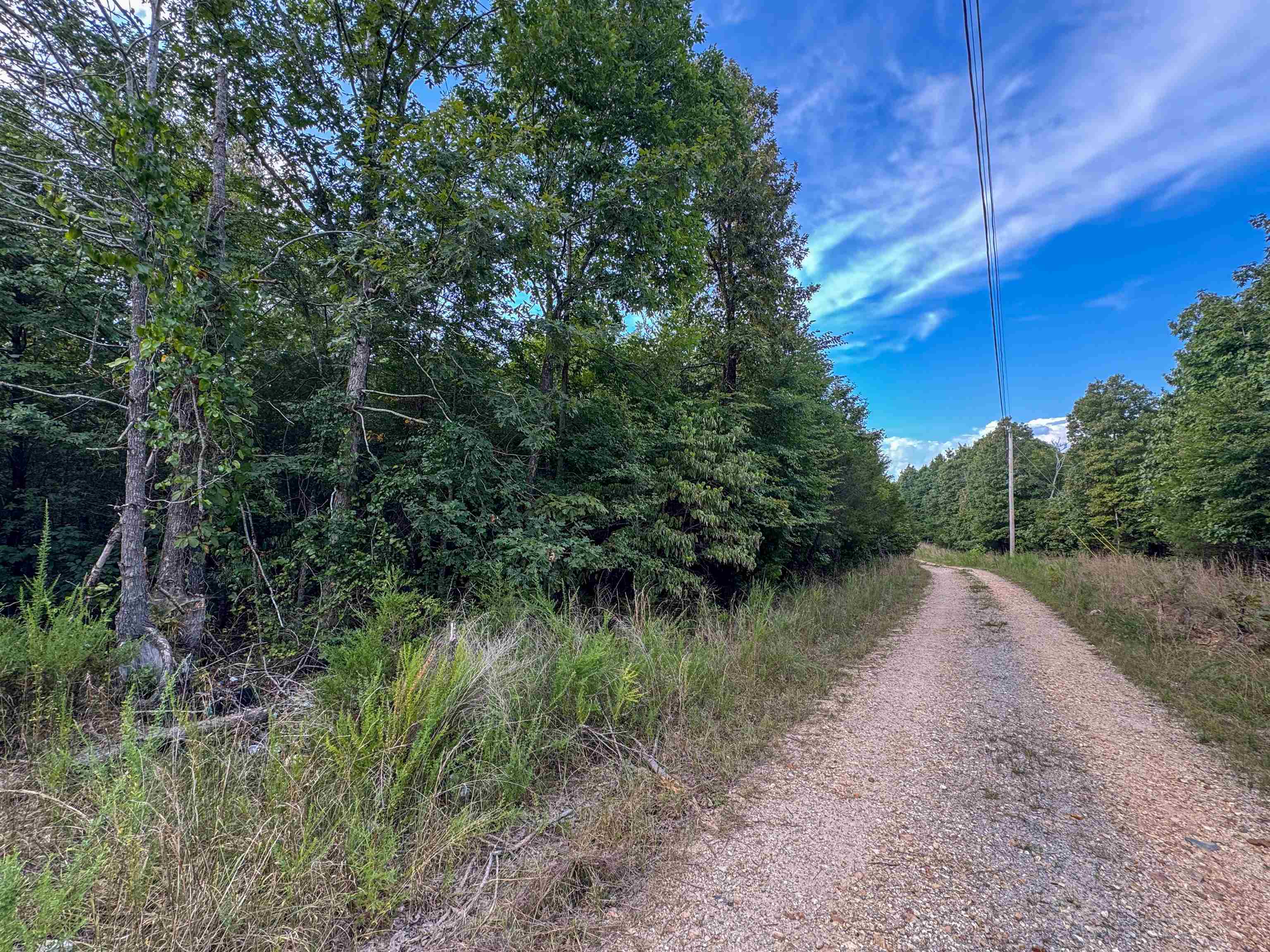 Photo 7 - Vacant Land for sale – 000  Duncan Ln   Poughkeepsie, AR