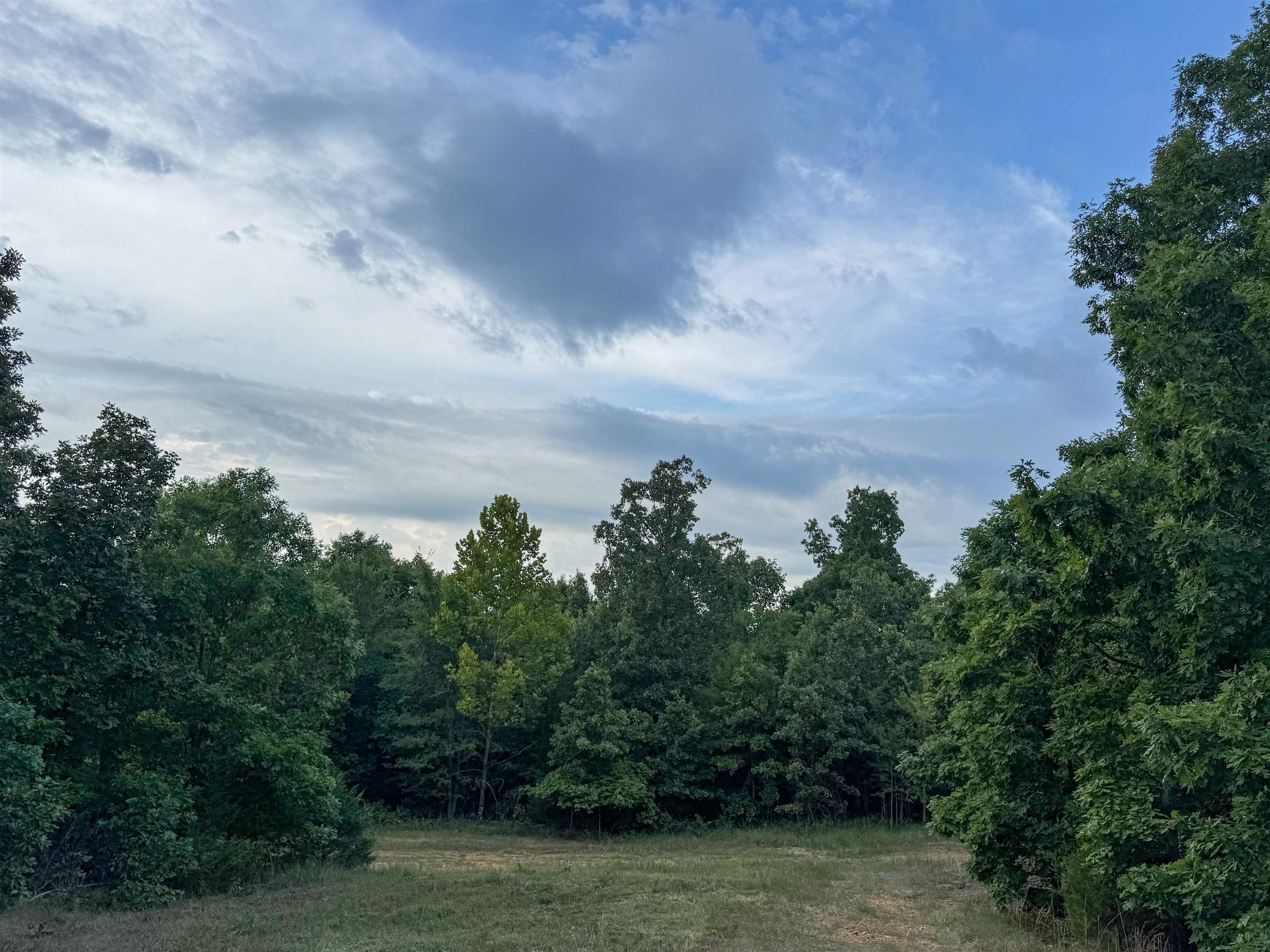 Photo 10 - Vacant Land for sale – 000  Duncan Ln   Poughkeepsie, AR