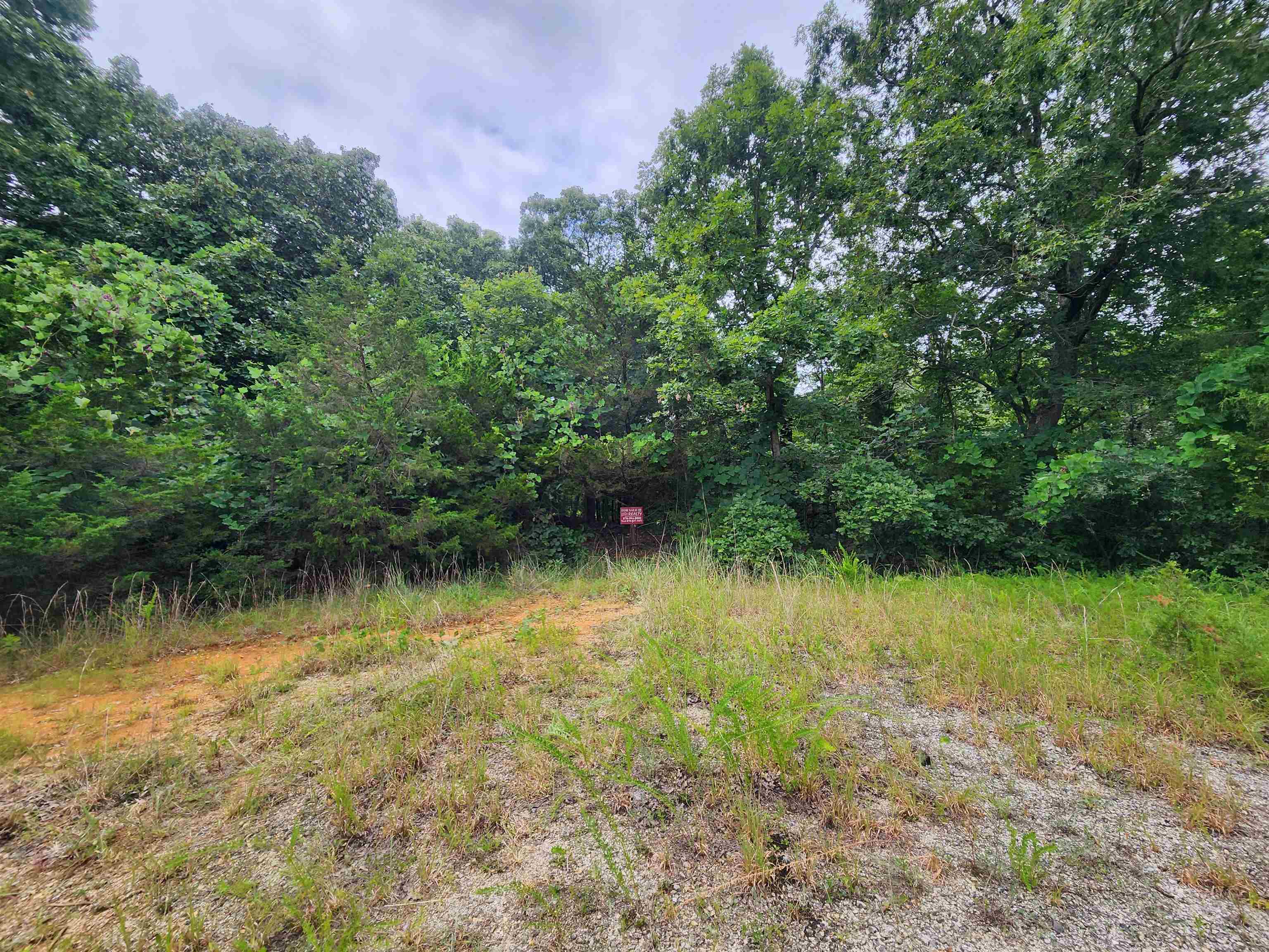 Vacant Land for sale – 702  Dixie   Horseshoe Bend, AR