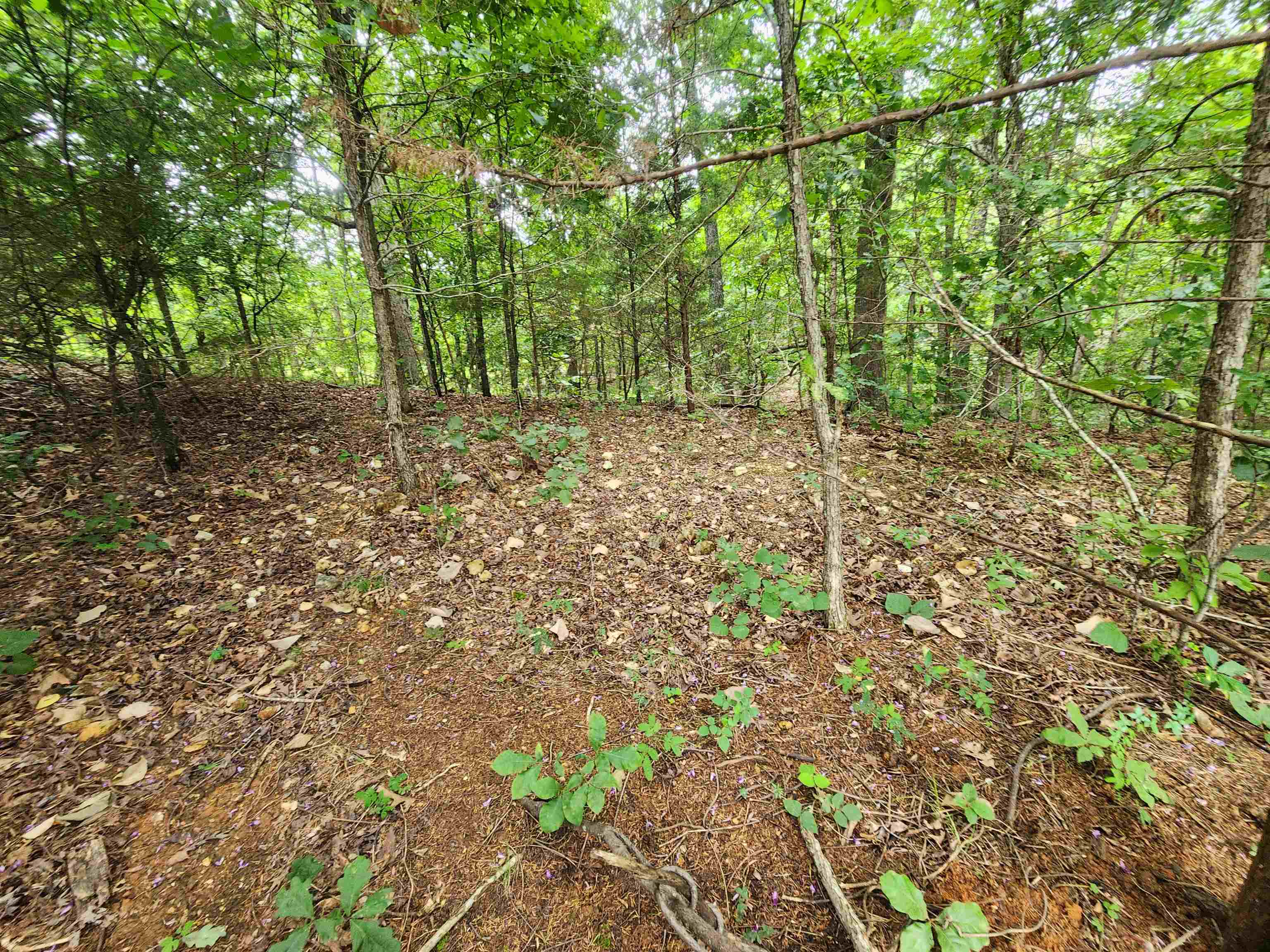 Photo 11 - Vacant Land for sale – 702  Dixie   Horseshoe Bend, AR