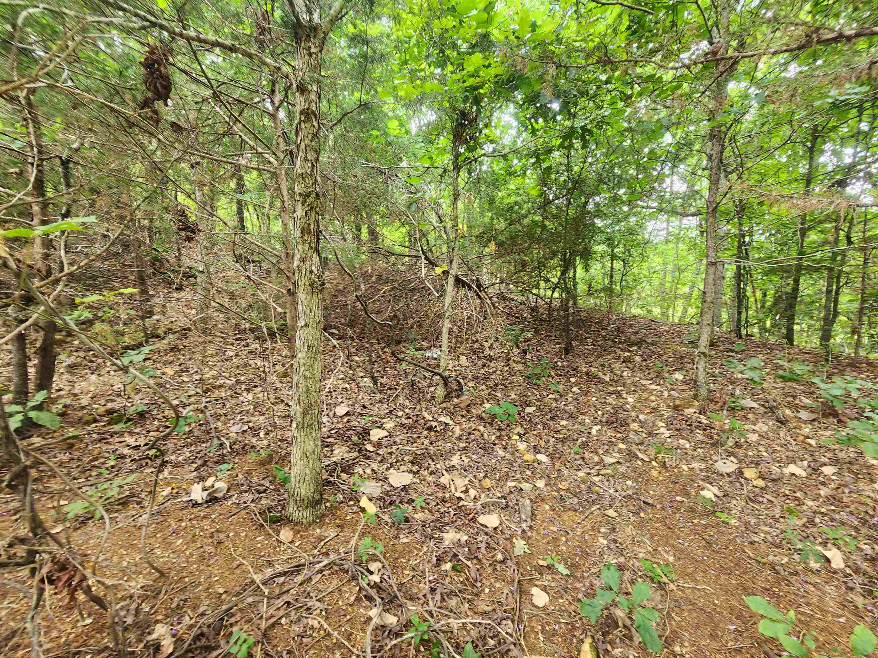 Photo 13 - Vacant Land for sale – 702  Dixie   Horseshoe Bend, AR
