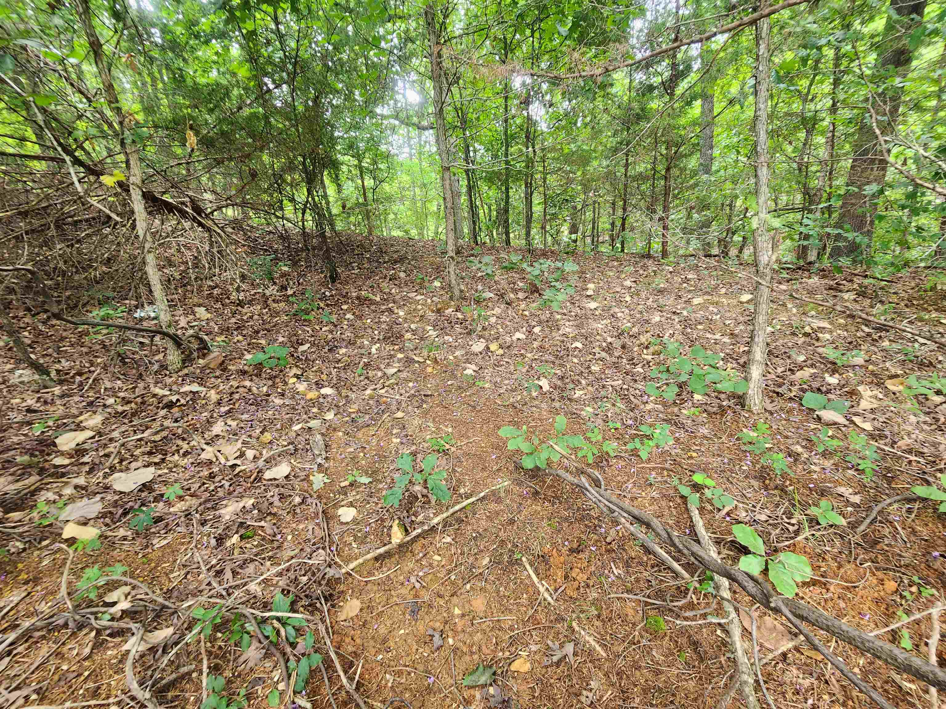 Photo 14 - Vacant Land for sale – 702  Dixie   Horseshoe Bend, AR
