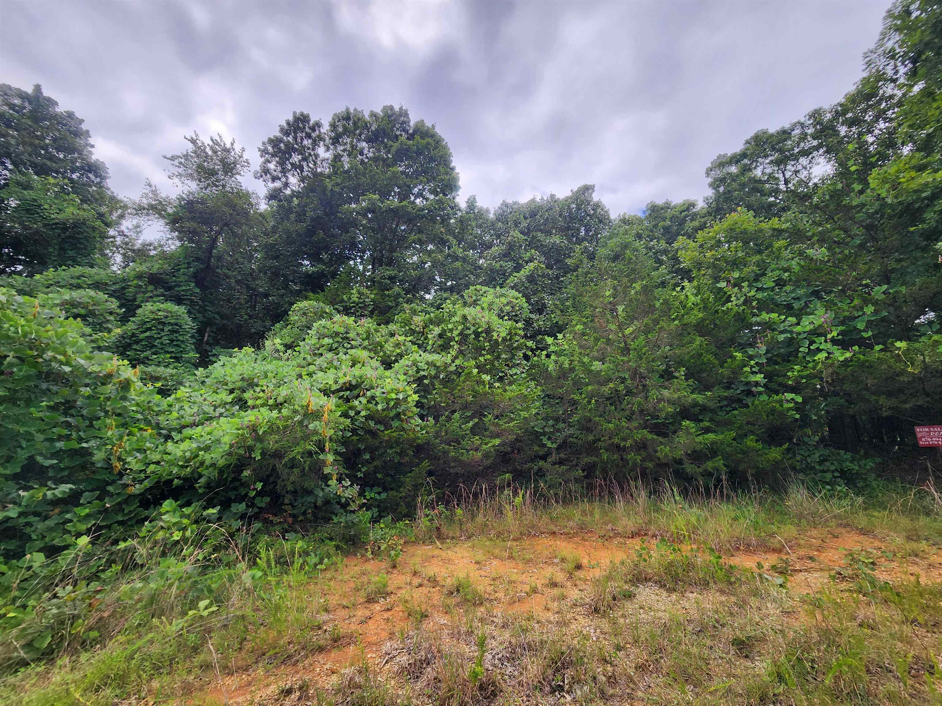 Photo 15 - Vacant Land for sale – 702  Dixie   Horseshoe Bend, AR