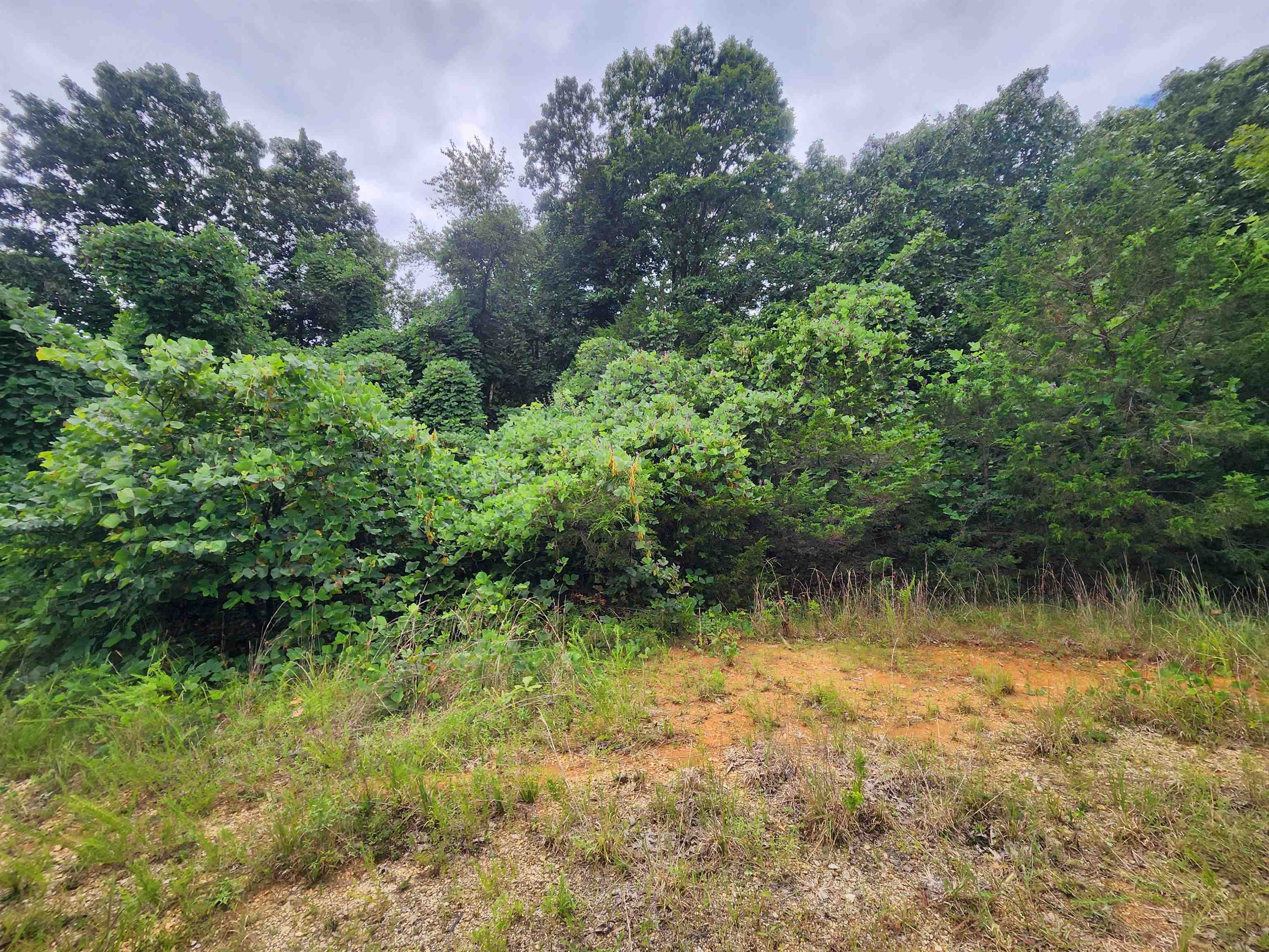 Photo 16 - Vacant Land for sale – 702  Dixie   Horseshoe Bend, AR