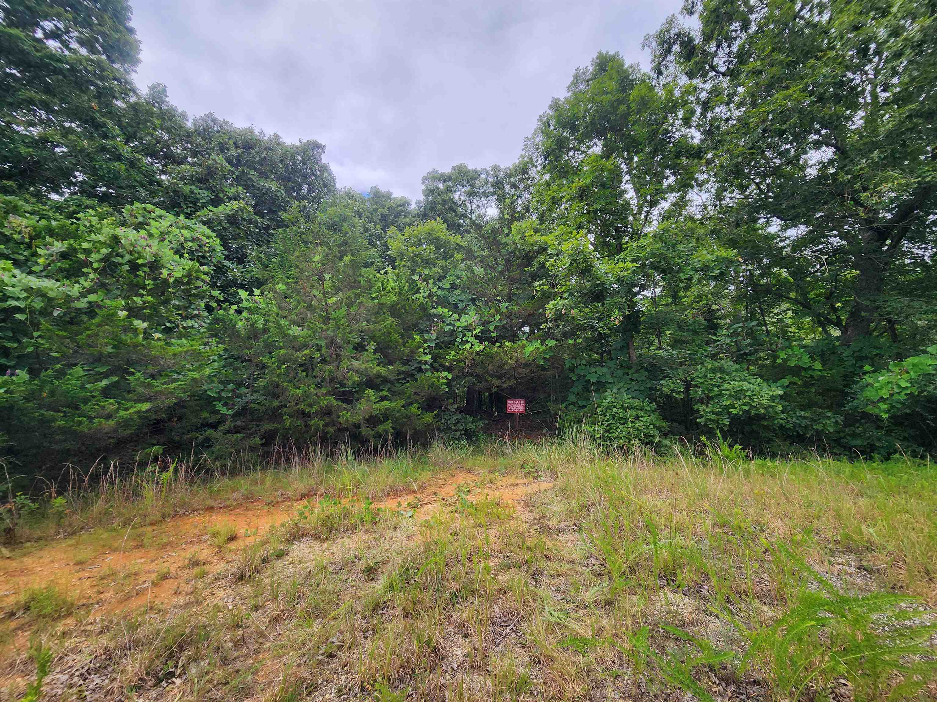 Photo 17 - Vacant Land for sale – 702  Dixie   Horseshoe Bend, AR