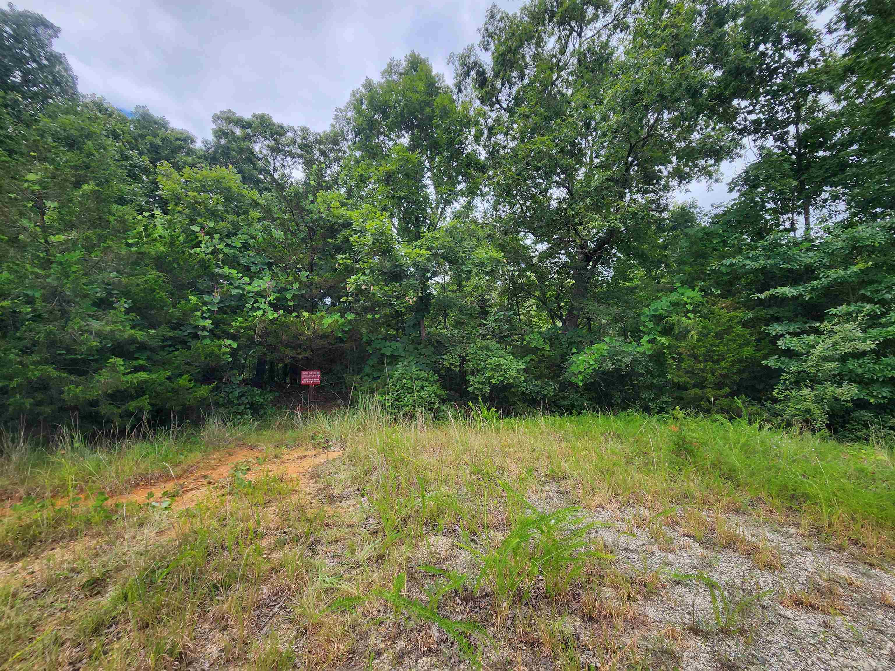 Photo 18 - Vacant Land for sale – 702  Dixie   Horseshoe Bend, AR