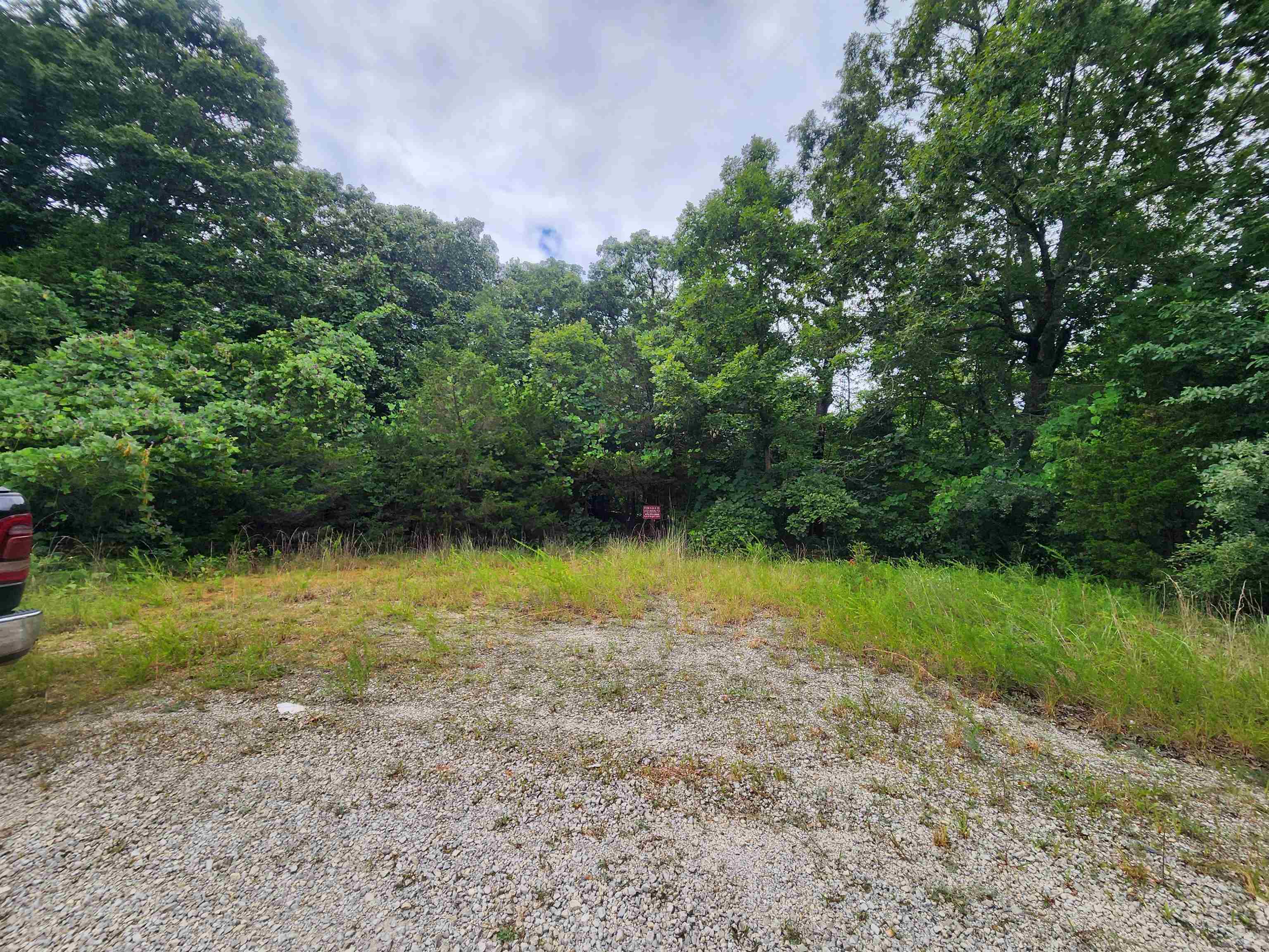 Photo 19 - Vacant Land for sale – 702  Dixie   Horseshoe Bend, AR