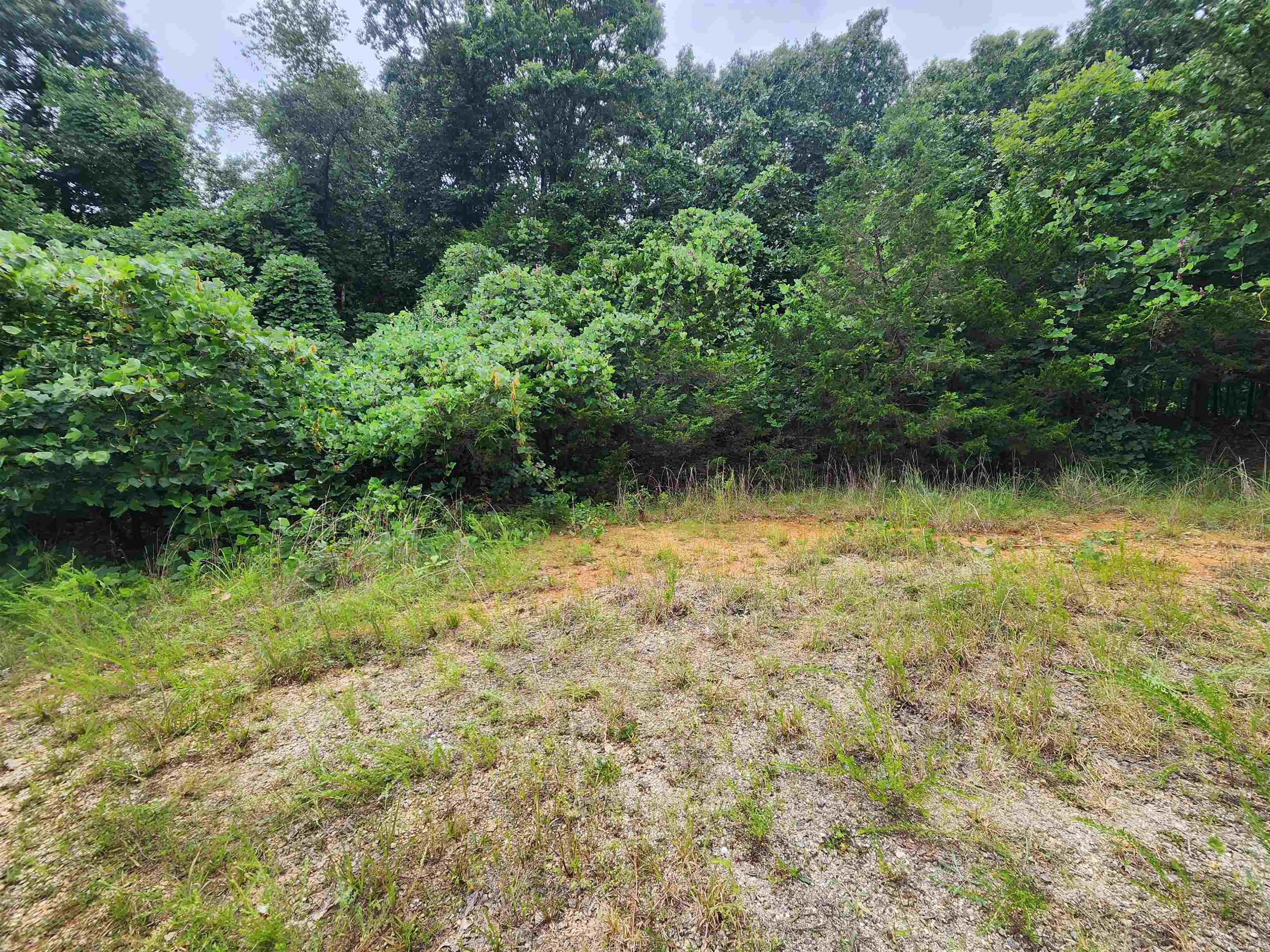 Photo 3 - Vacant Land for sale – 702  Dixie   Horseshoe Bend, AR