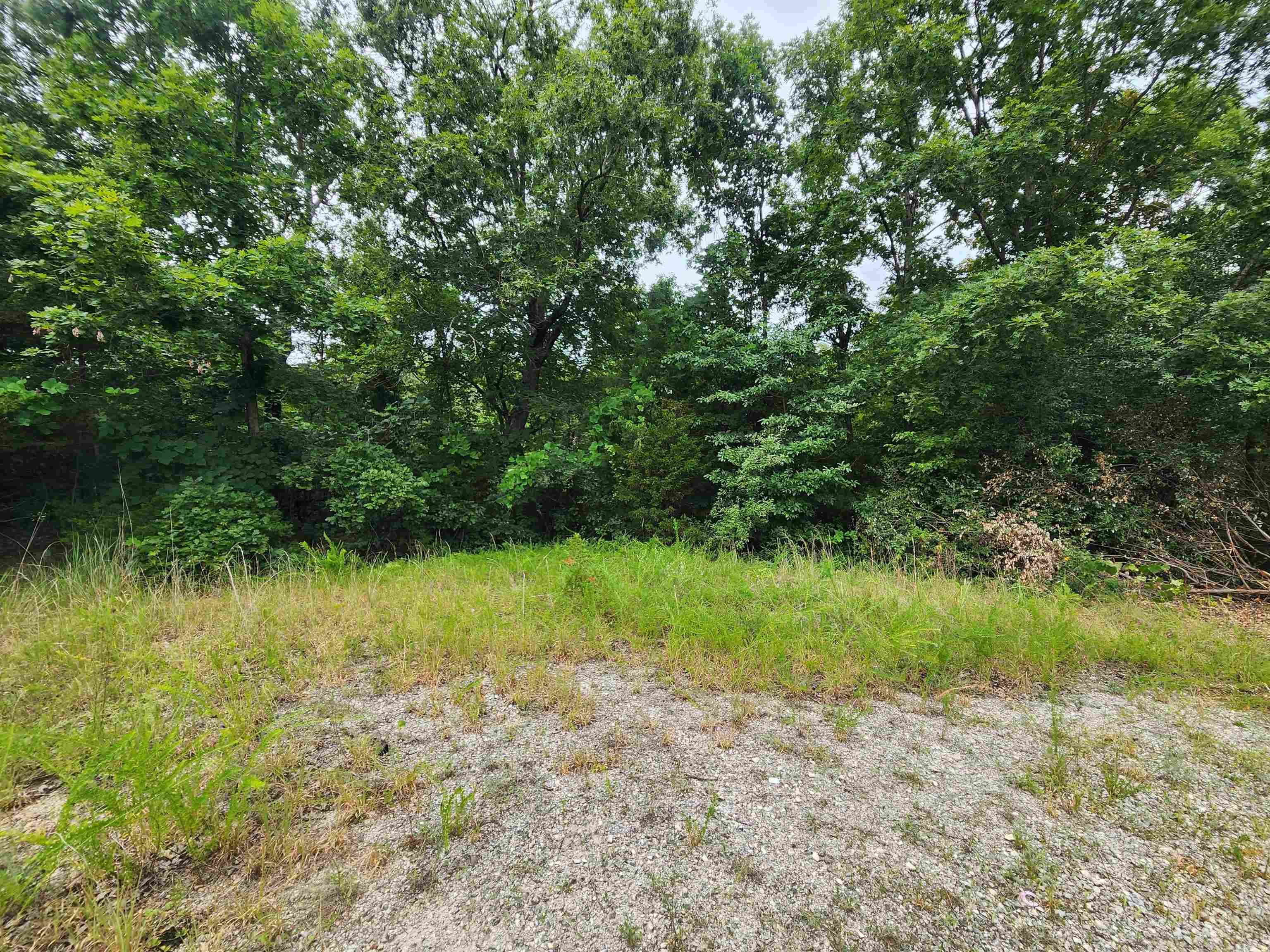 Photo 4 - Vacant Land for sale – 702  Dixie   Horseshoe Bend, AR