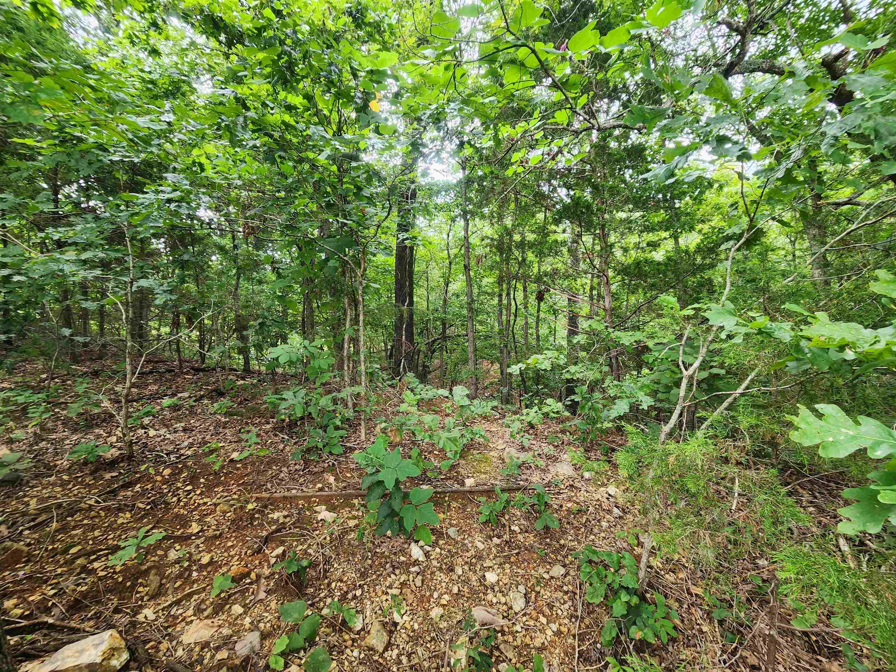 Photo 5 - Vacant Land for sale – 702  Dixie   Horseshoe Bend, AR