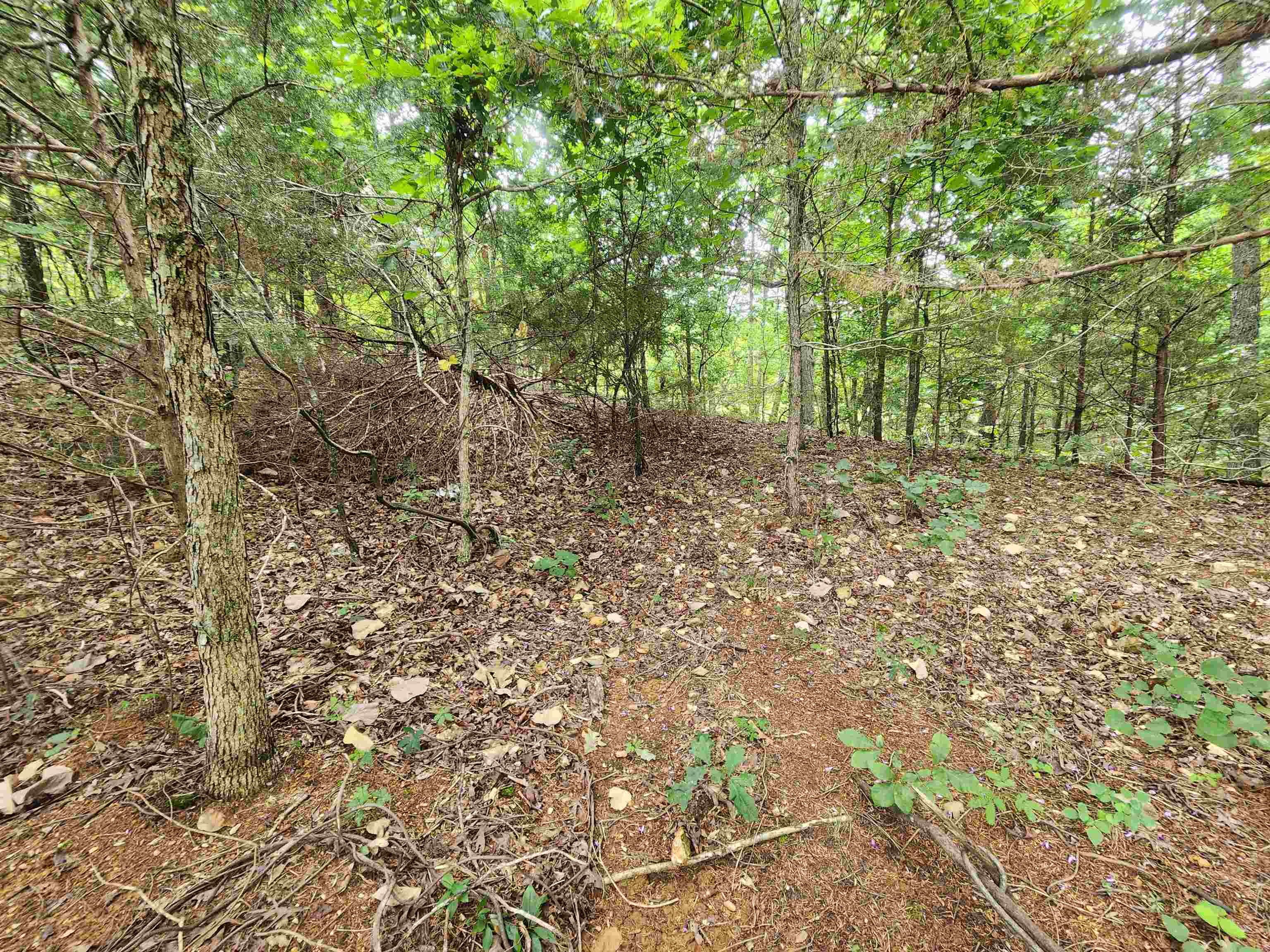 Photo 9 - Vacant Land for sale – 702  Dixie   Horseshoe Bend, AR