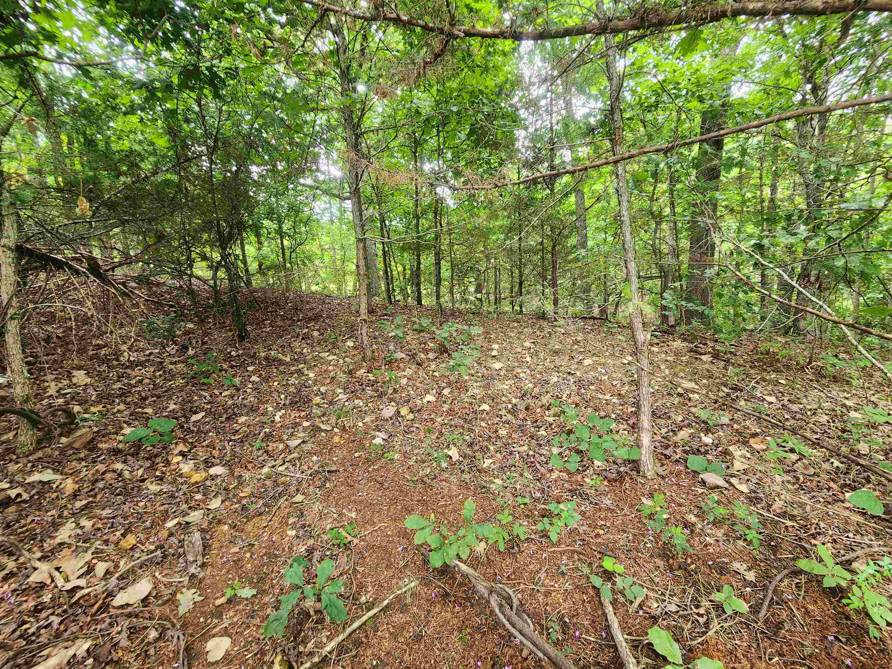 Photo 10 - Vacant Land for sale – 702  Dixie   Horseshoe Bend, AR