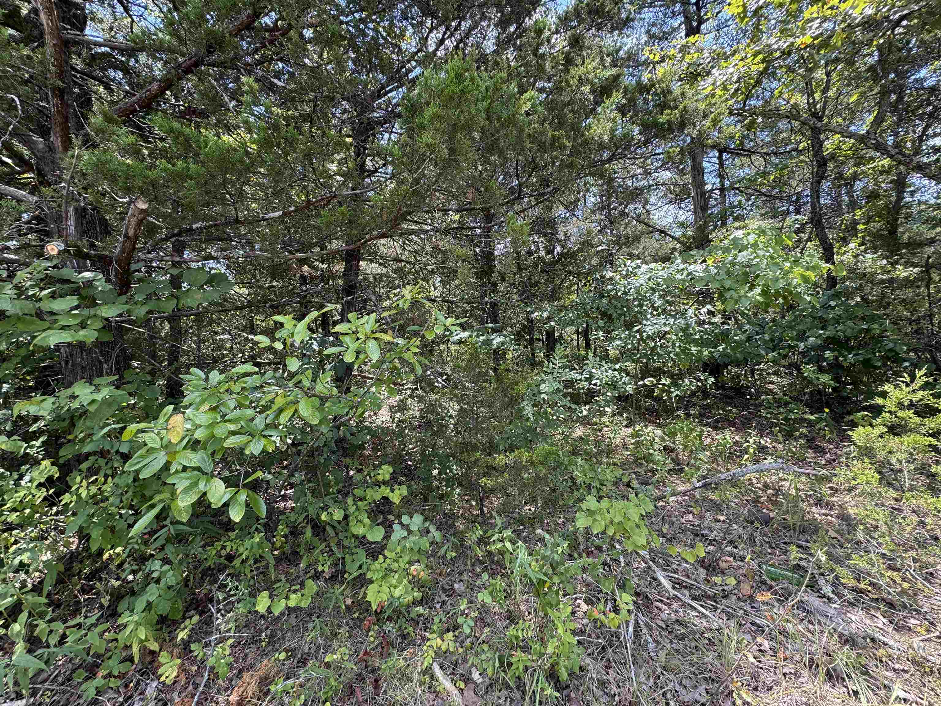 Vacant Land for sale – 309 W Fairway Drive   Horseshoe Bend, AR