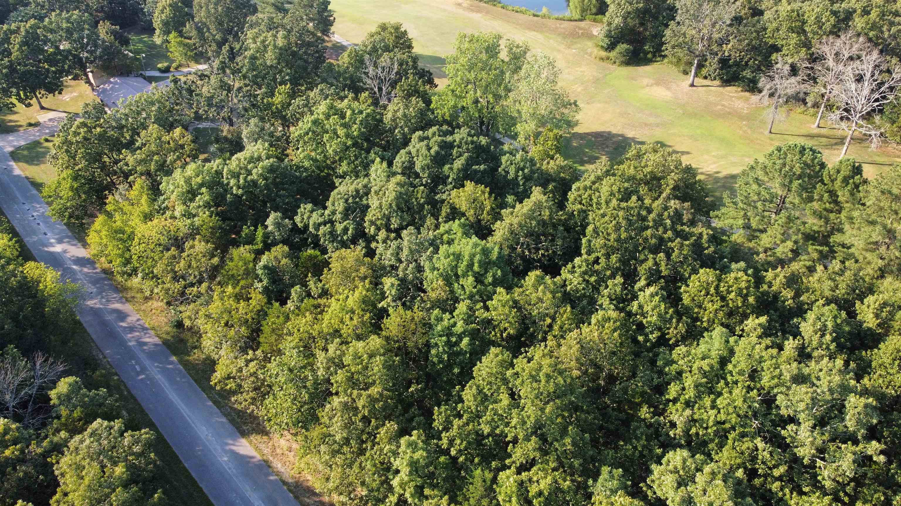 Photo 2 - Vacant Land for sale – 308-310  Airpark   Horseshoe Bend, AR