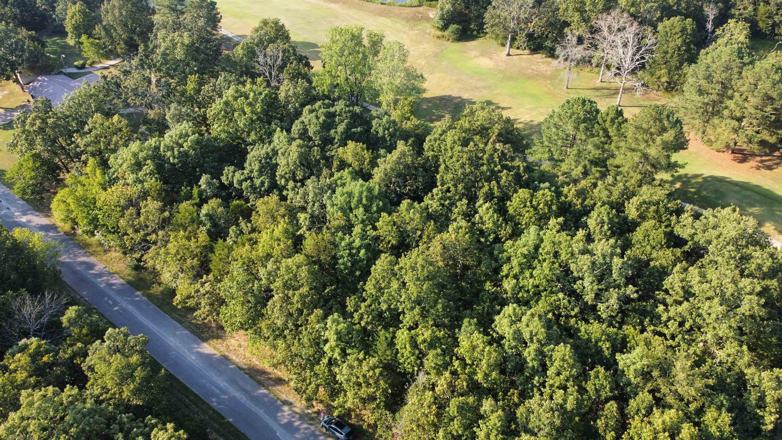 Photo 4 - Vacant Land for sale – 308-310  Airpark   Horseshoe Bend, AR