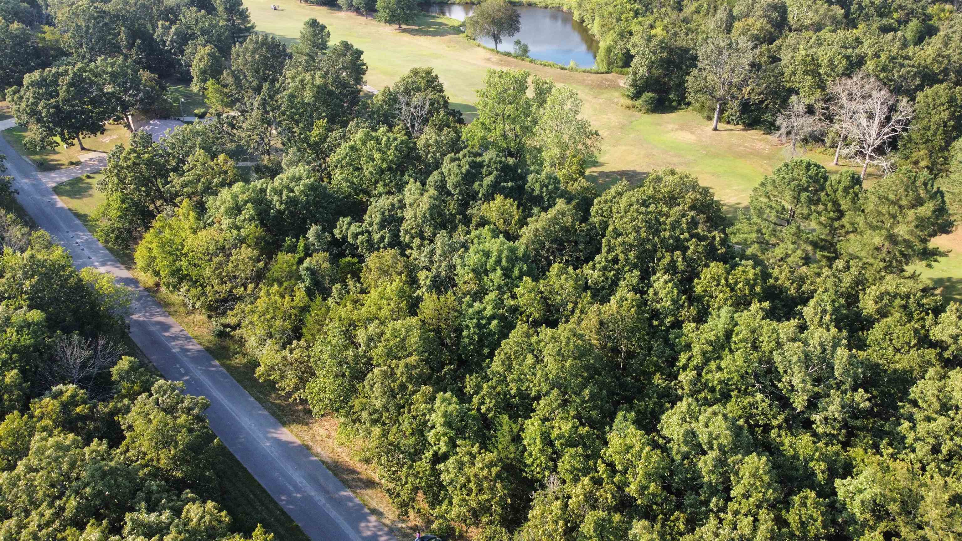 Photo 5 - Vacant Land for sale – 308-310  Airpark   Horseshoe Bend, AR