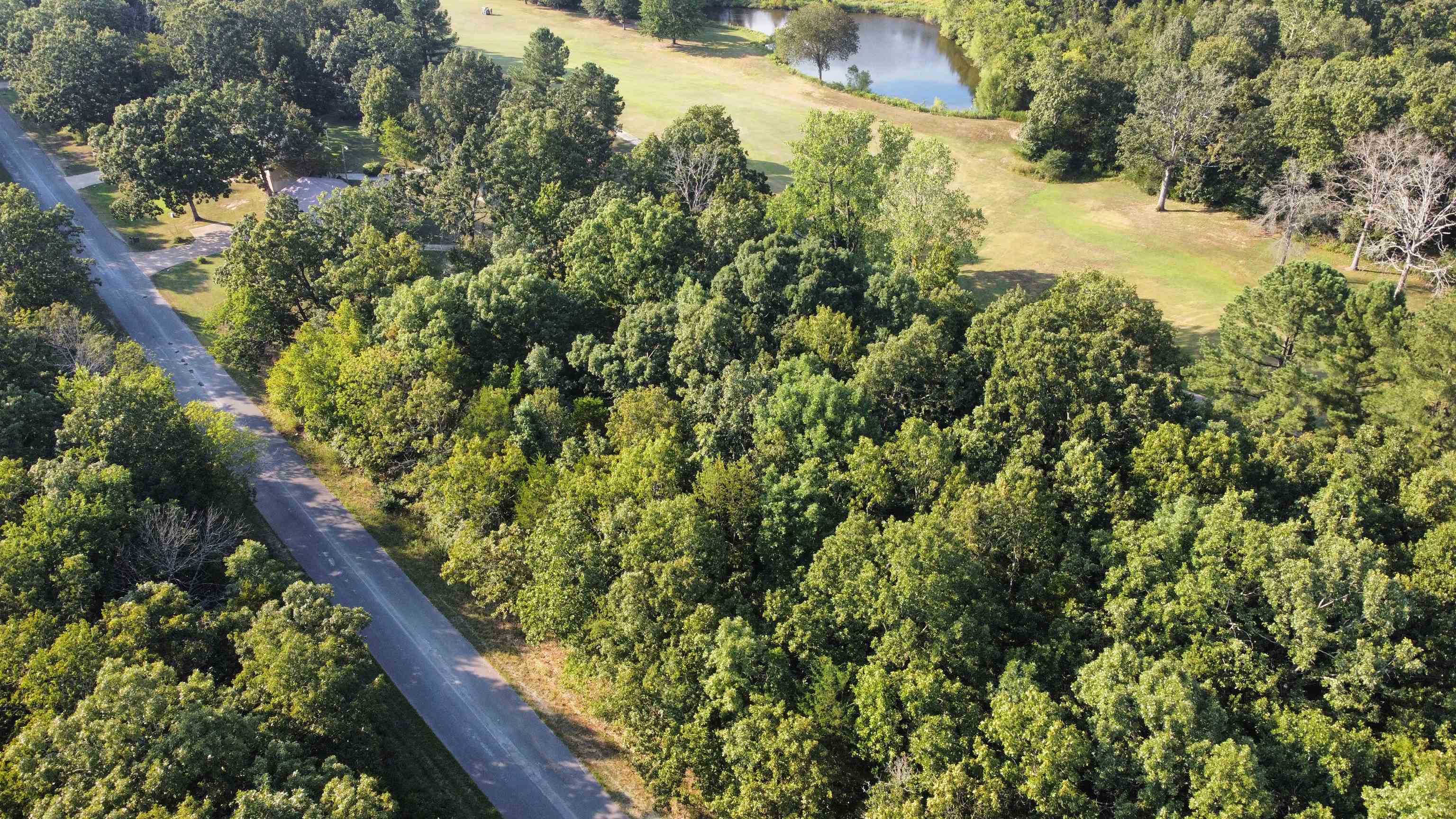 Photo 6 - Vacant Land for sale – 308-310  Airpark   Horseshoe Bend, AR