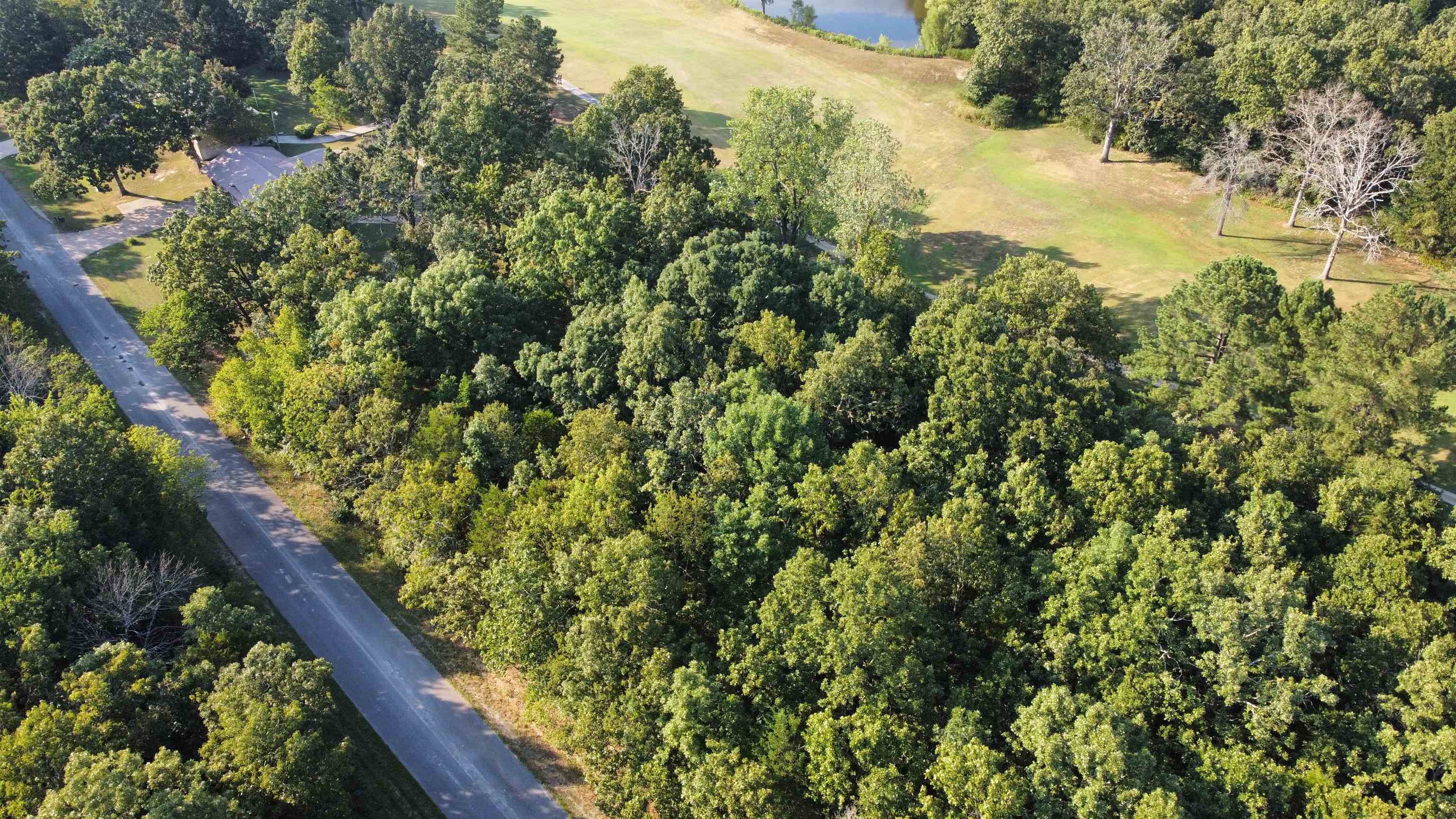 Photo 7 - Vacant Land for sale – 308-310  Airpark   Horseshoe Bend, AR