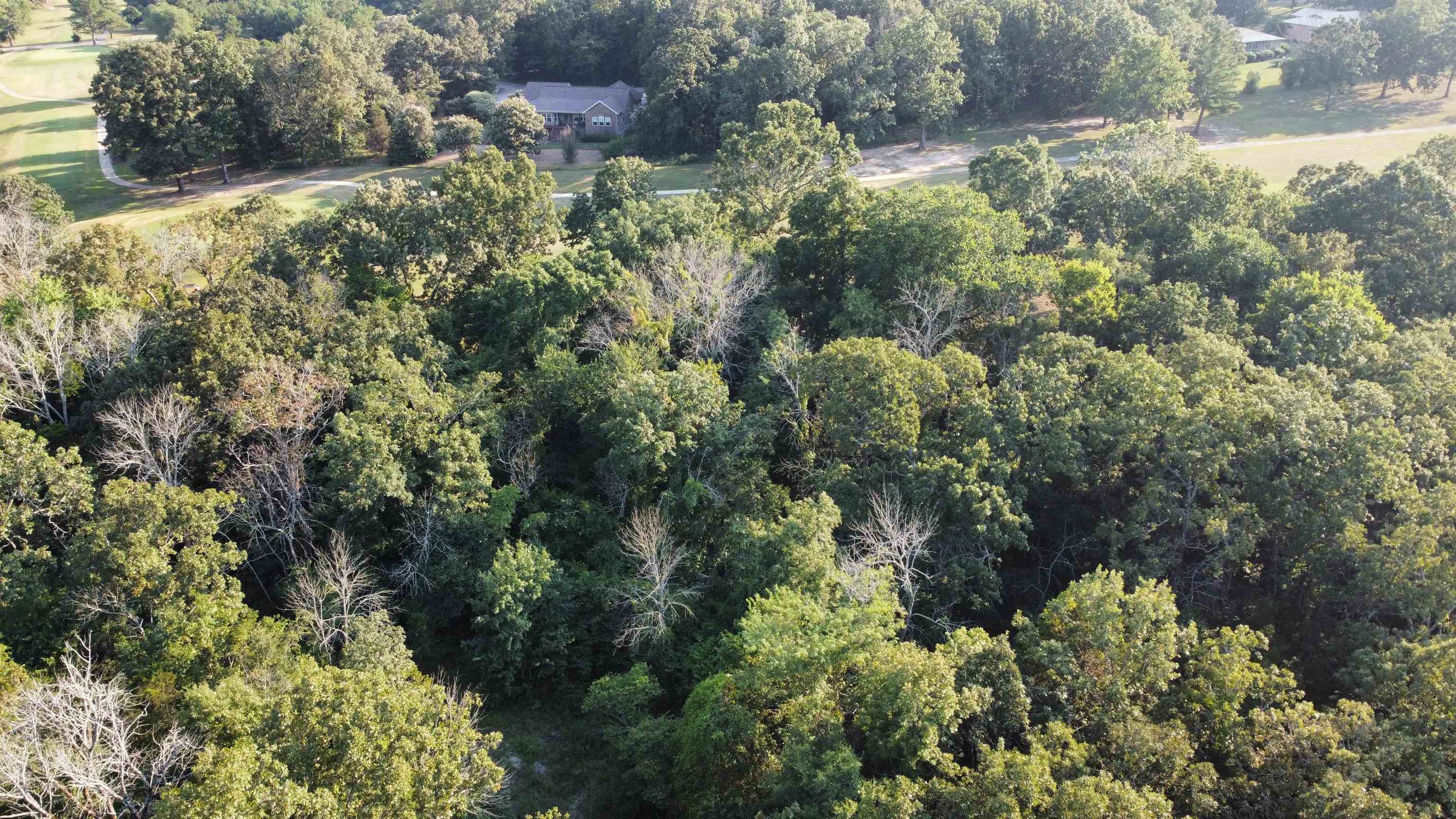 Vacant Land for sale – 108  Par   Horseshoe Bend, AR