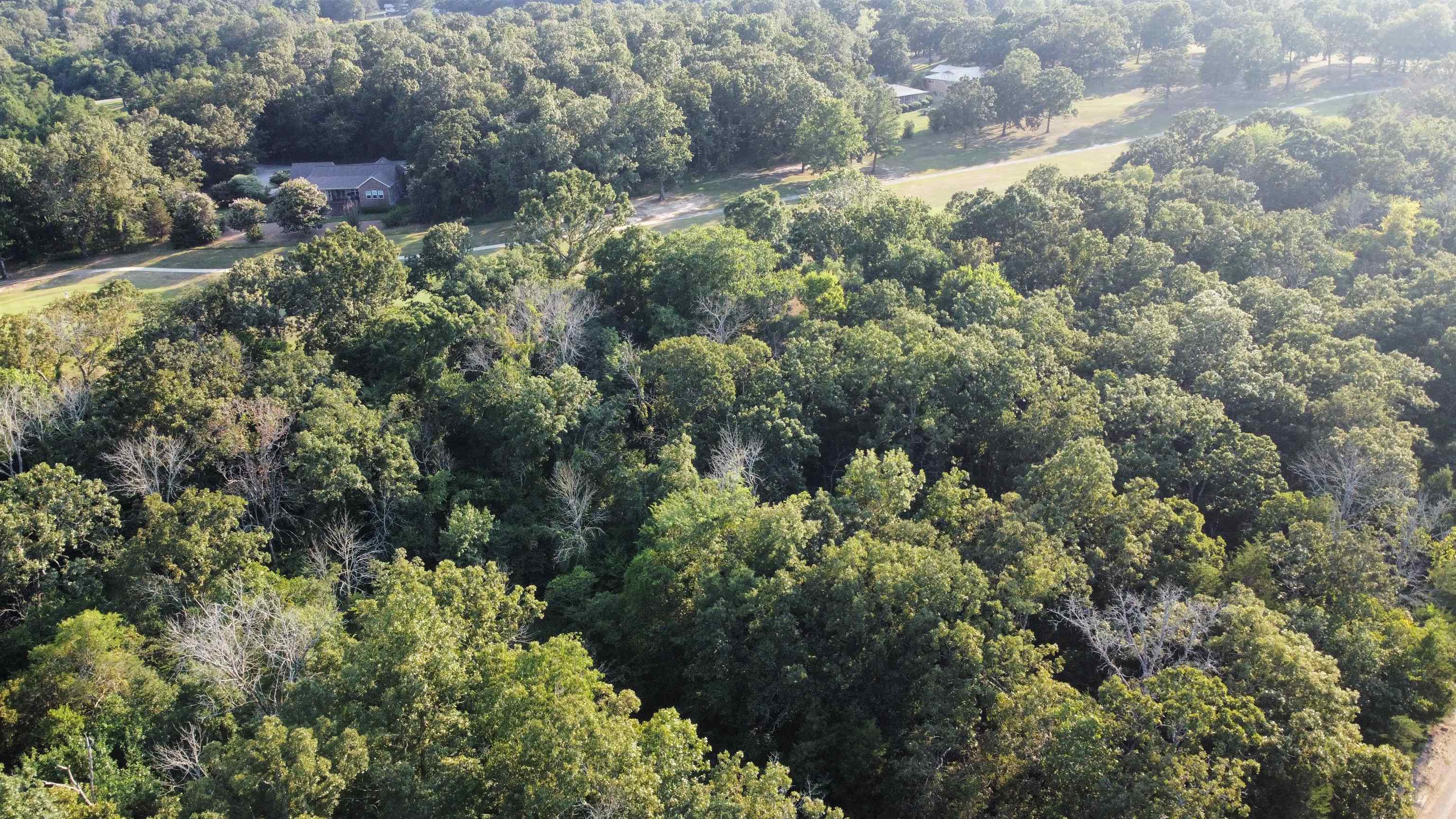 Photo 2 - Vacant Land for sale – 108  Par   Horseshoe Bend, AR