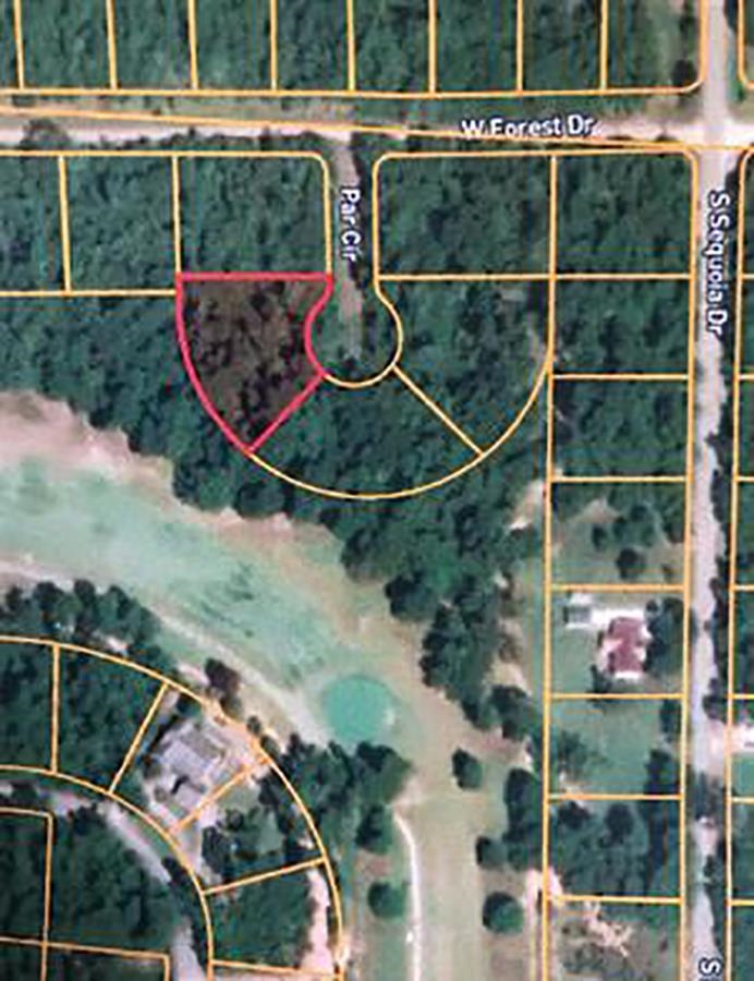 Photo 3 - Vacant Land for sale – 108  Par   Horseshoe Bend, AR