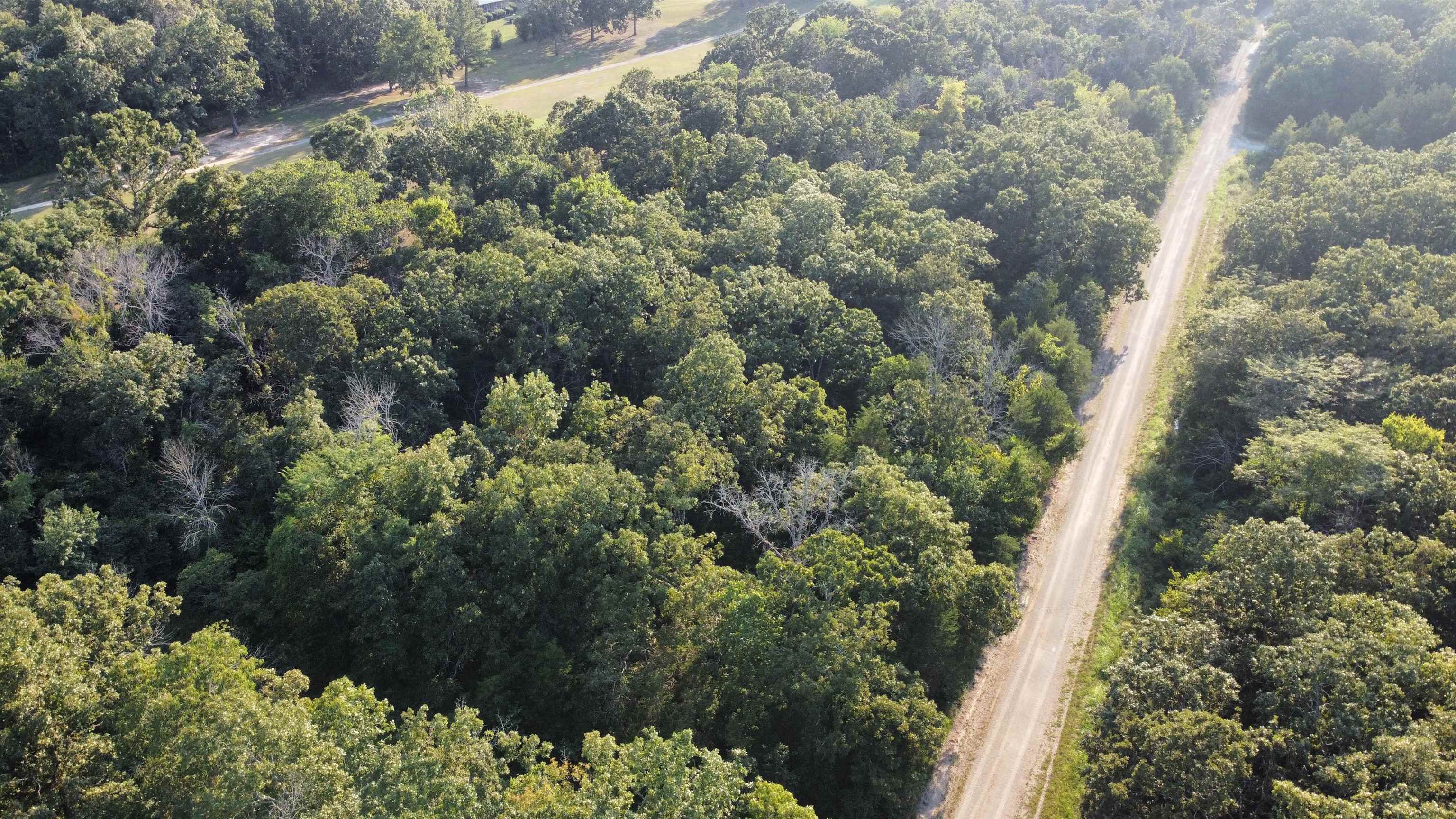 Photo 4 - Vacant Land for sale – 108  Par   Horseshoe Bend, AR