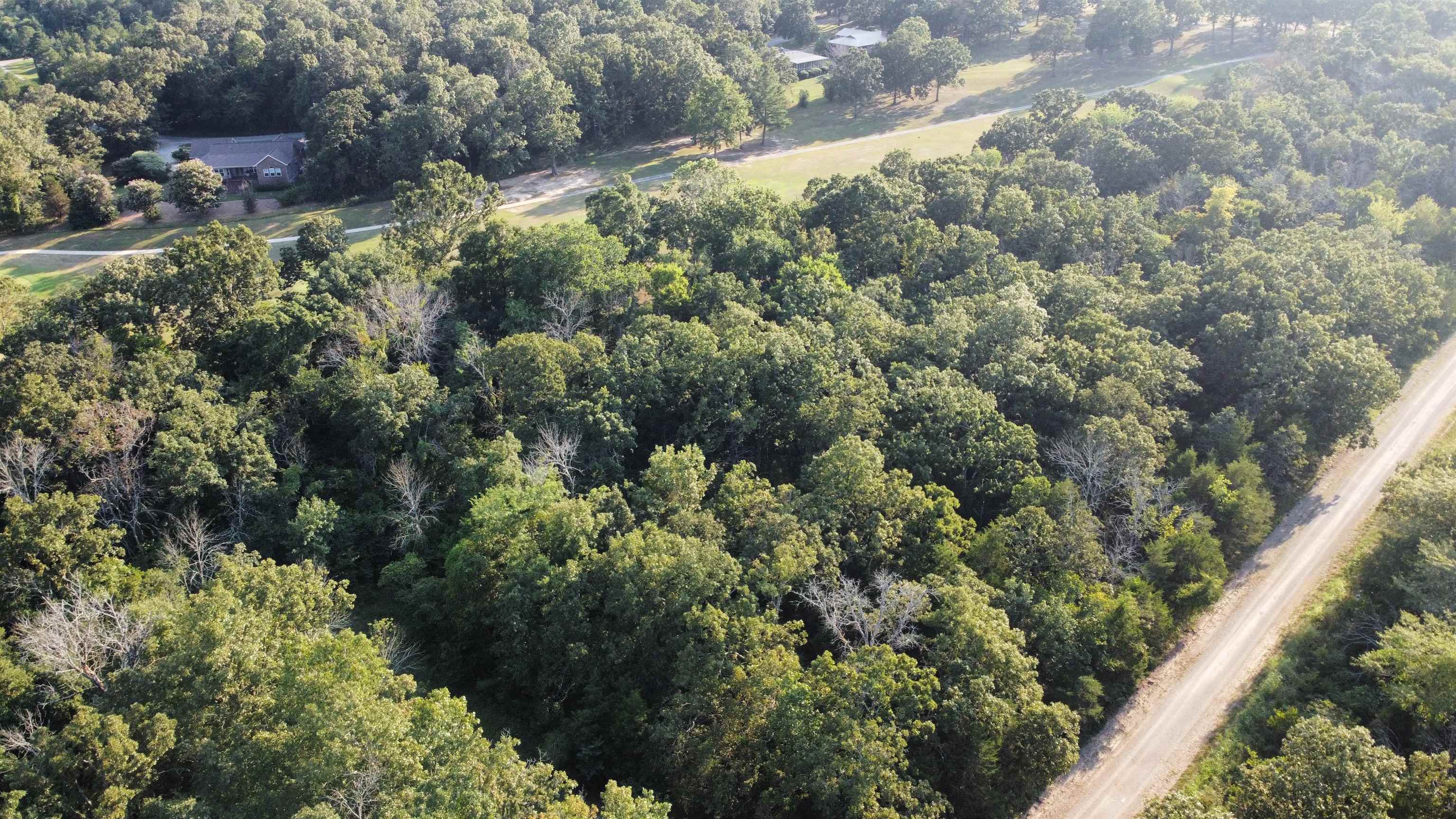Photo 5 - Vacant Land for sale – 108  Par   Horseshoe Bend, AR