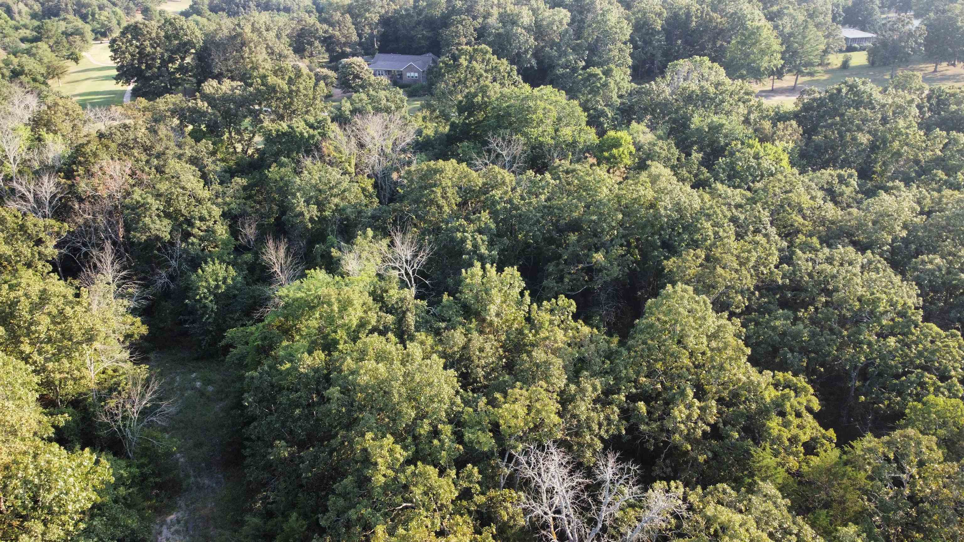 Photo 6 - Vacant Land for sale – 108  Par   Horseshoe Bend, AR