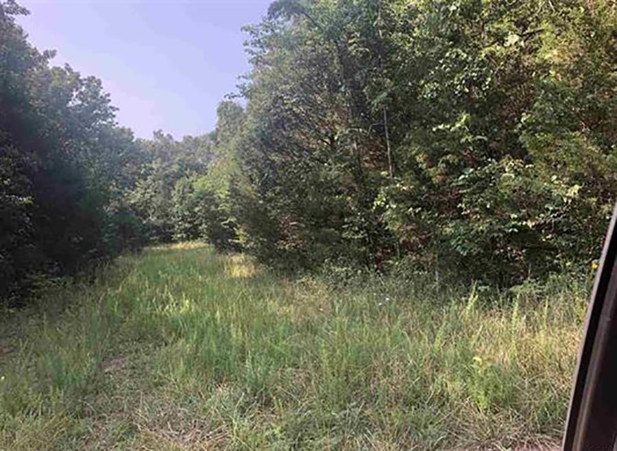 Photo 7 - Vacant Land for sale – 108  Par   Horseshoe Bend, AR