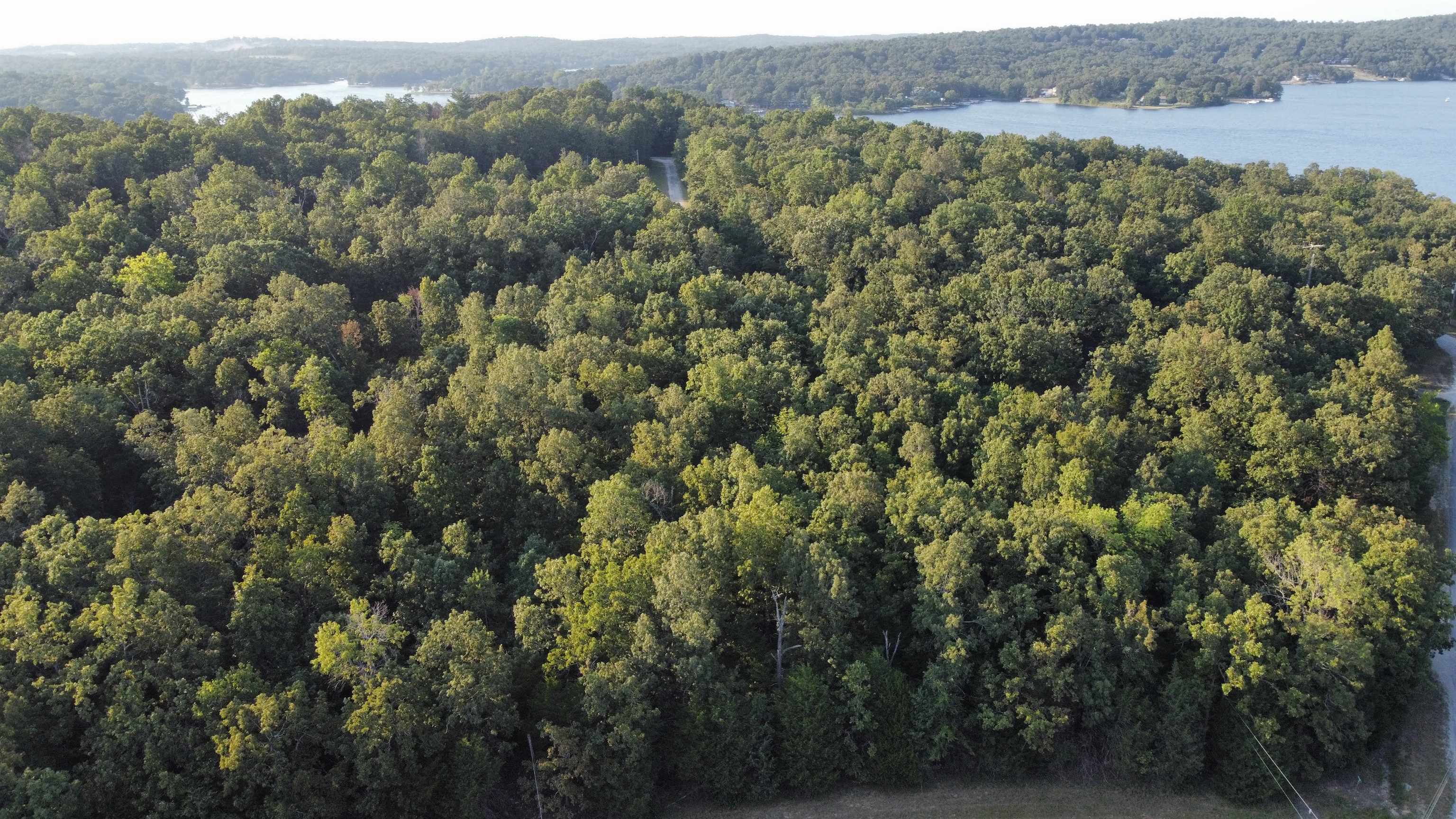Photo 2 - Vacant Land for sale – 1205  Tri Lakes   Horseshoe Bend, AR