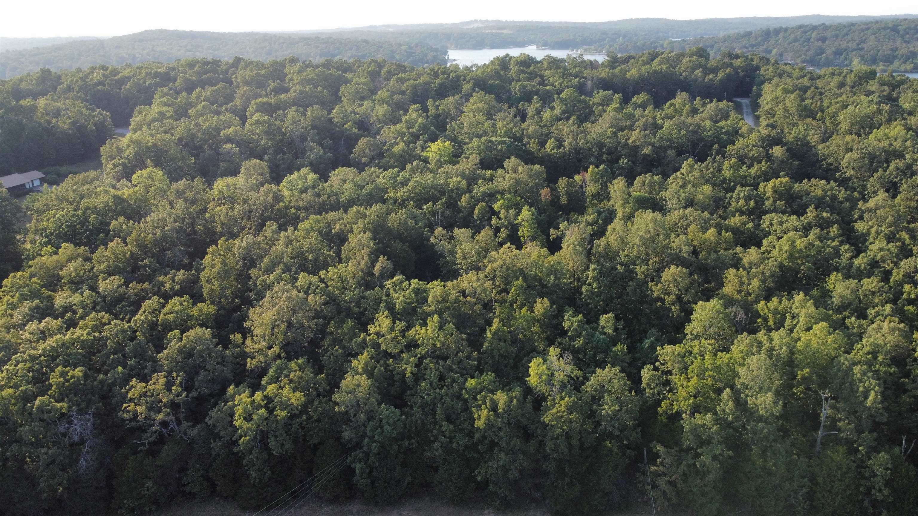 Photo 4 - Vacant Land for sale – 1205  Tri Lakes   Horseshoe Bend, AR