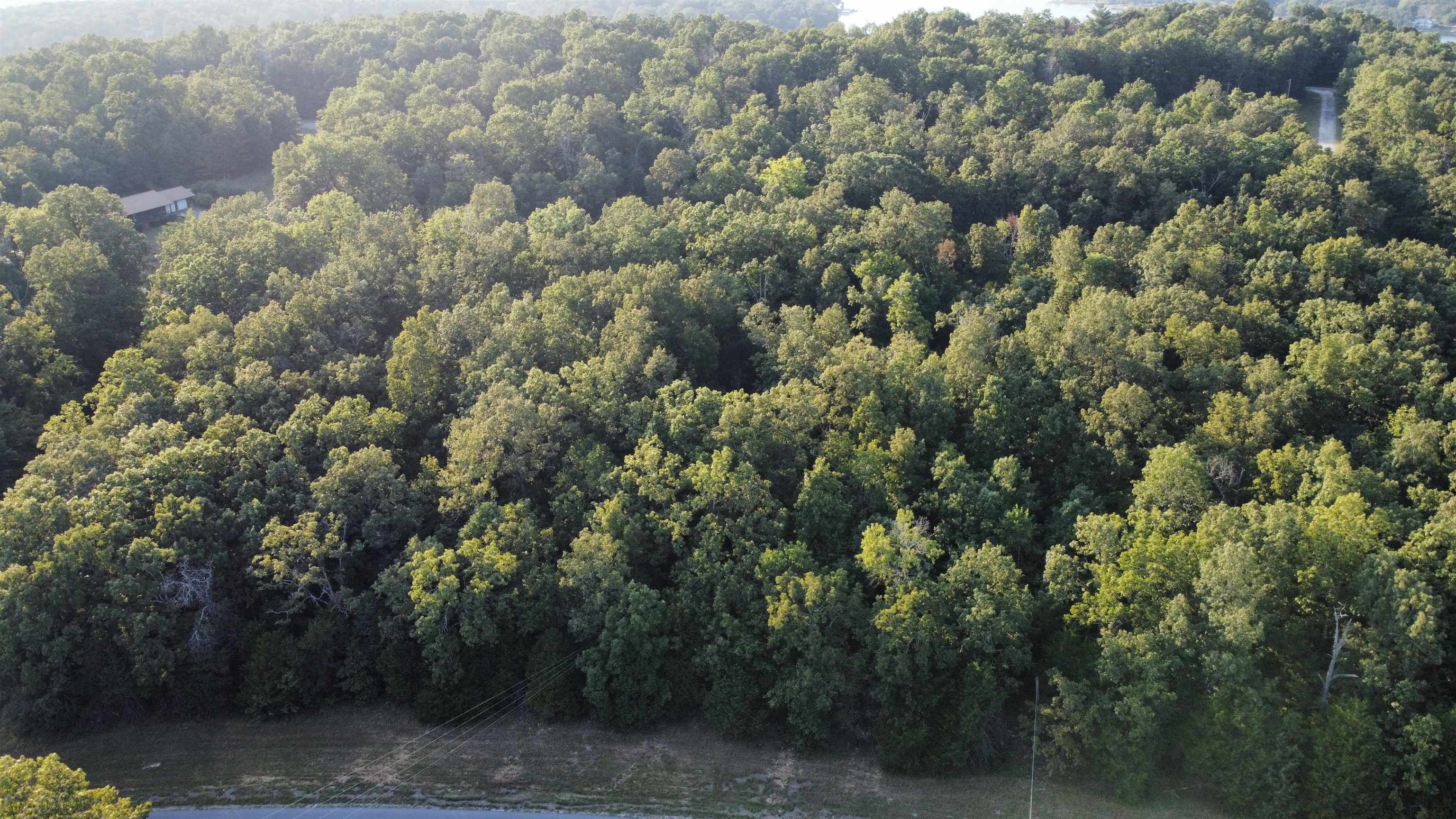 Photo 5 - Vacant Land for sale – 1205  Tri Lakes   Horseshoe Bend, AR
