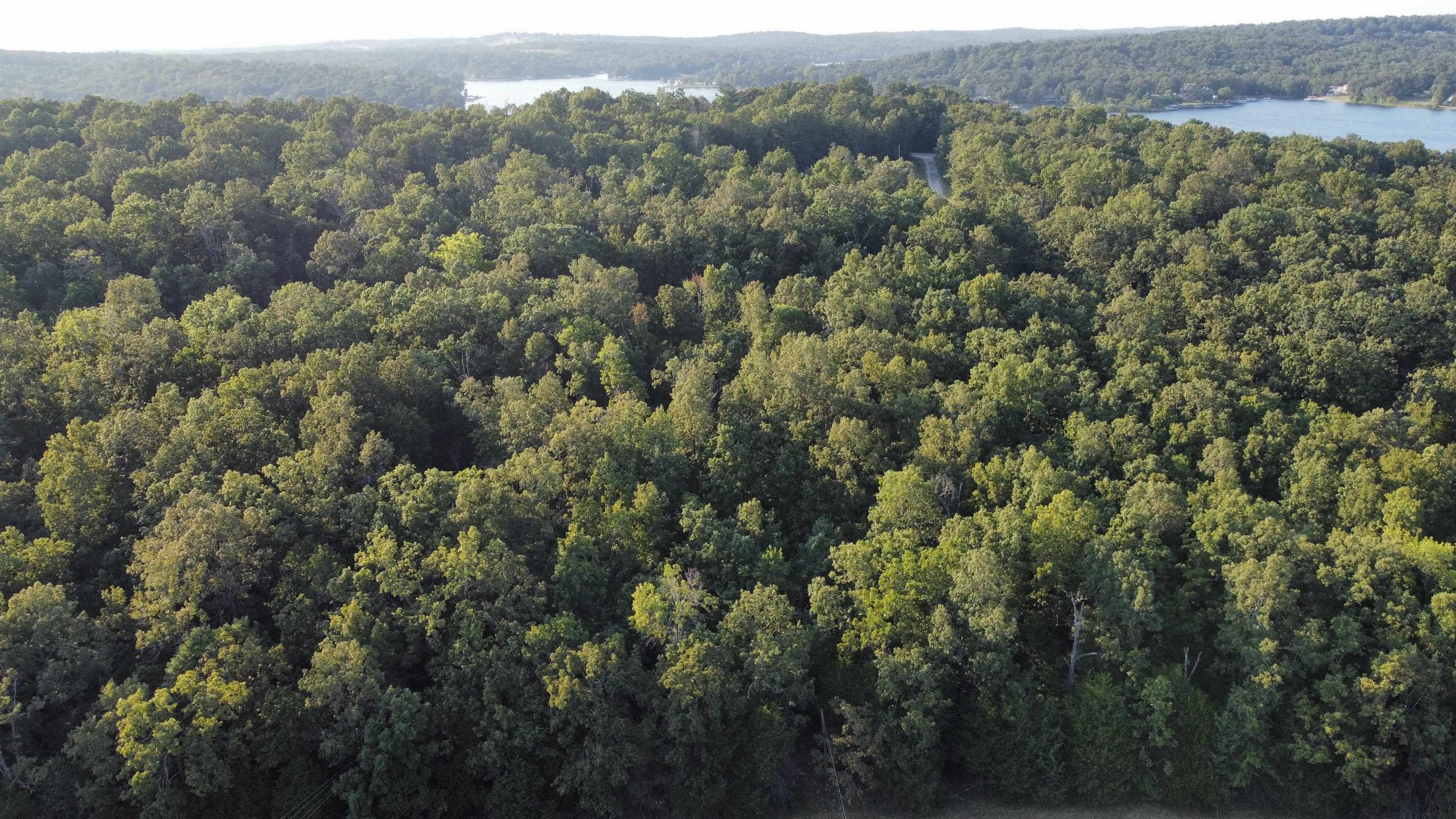 Photo 6 - Vacant Land for sale – 1205  Tri Lakes   Horseshoe Bend, AR